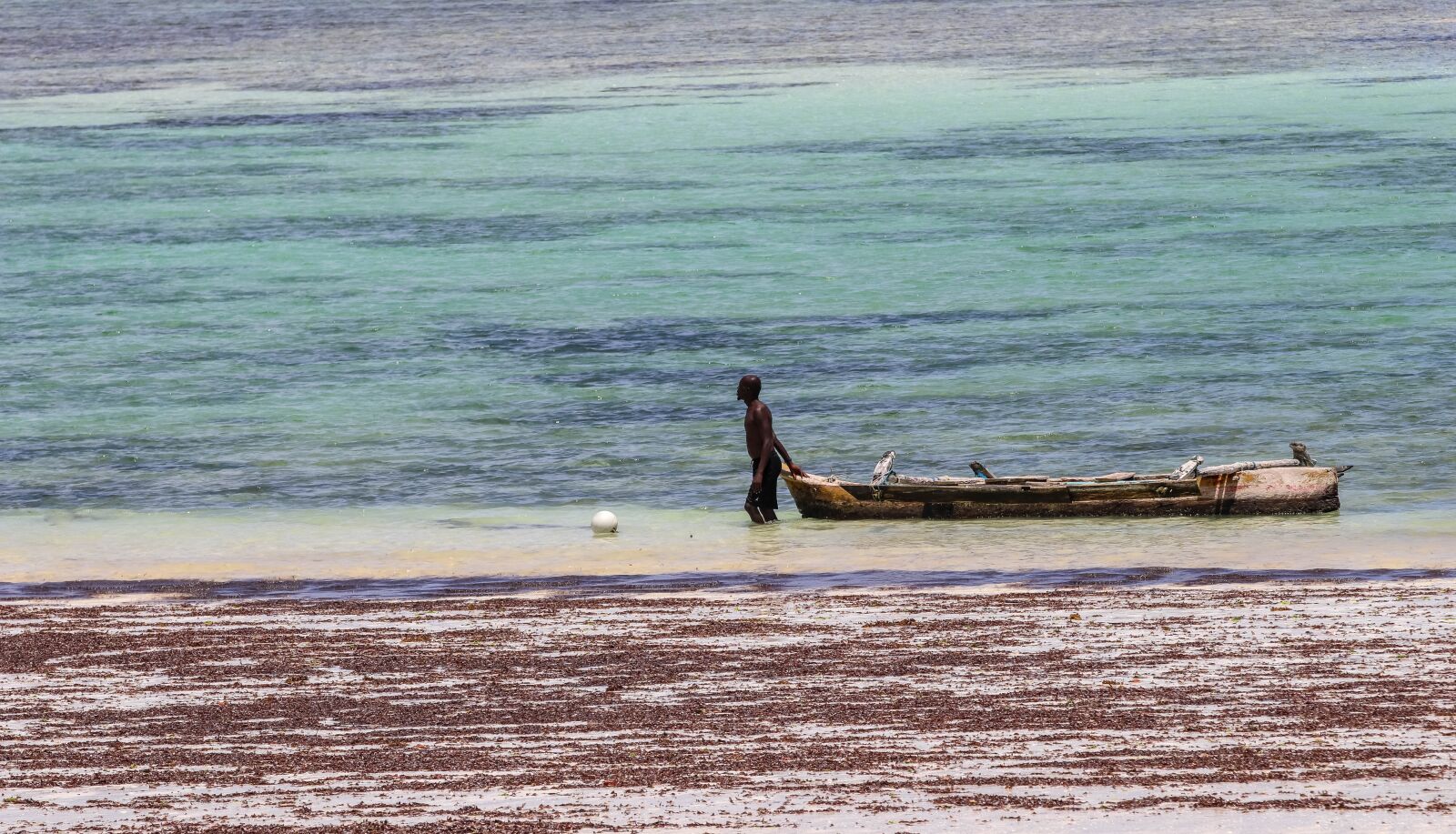 Canon EOS 80D sample photo. Africa, kenya, diani beach photography