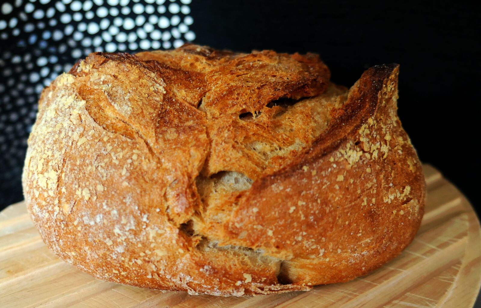 Panasonic Lumix DMC-LX10 (Lumix DMC-LX15) sample photo. Bread, our daily bread photography