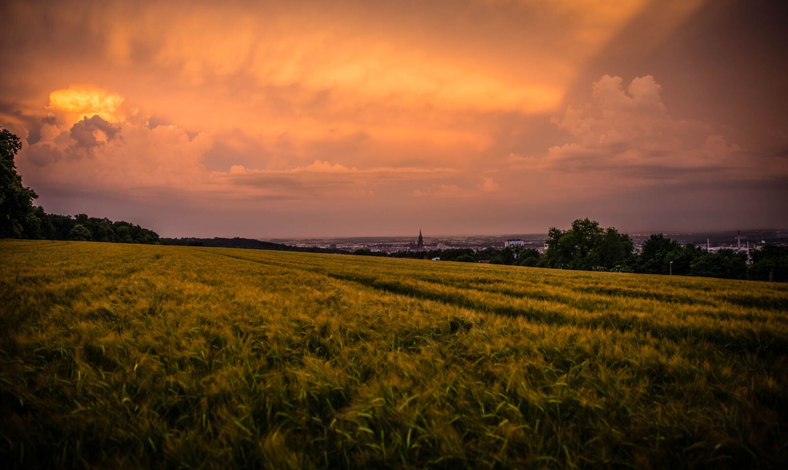 Canon EF 24-70mm F2.8L II USM sample photo. Agriculture, clouds, countryside photography