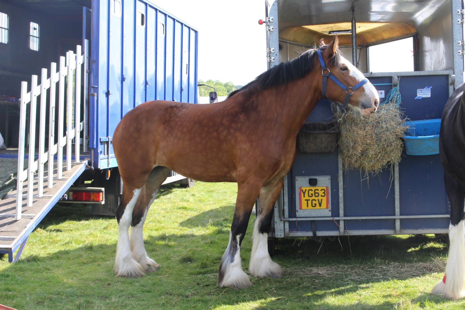 Canon EOS 100D (EOS Rebel SL1 / EOS Kiss X7) sample photo. Horse, otley, show photography