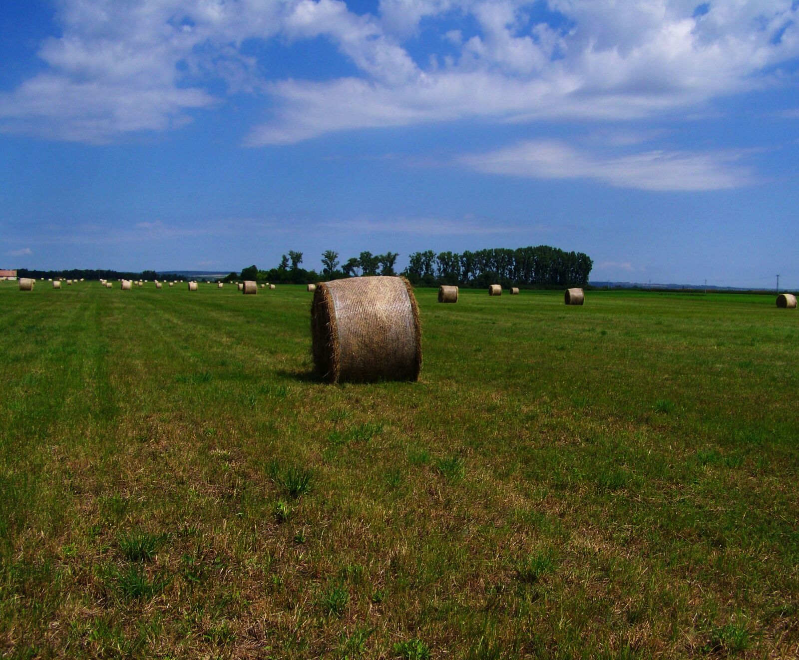 Kodak EASYSHARE ZD710 ZOOM DIGITAL CAMERA sample photo. Hay bale, forage, mown photography