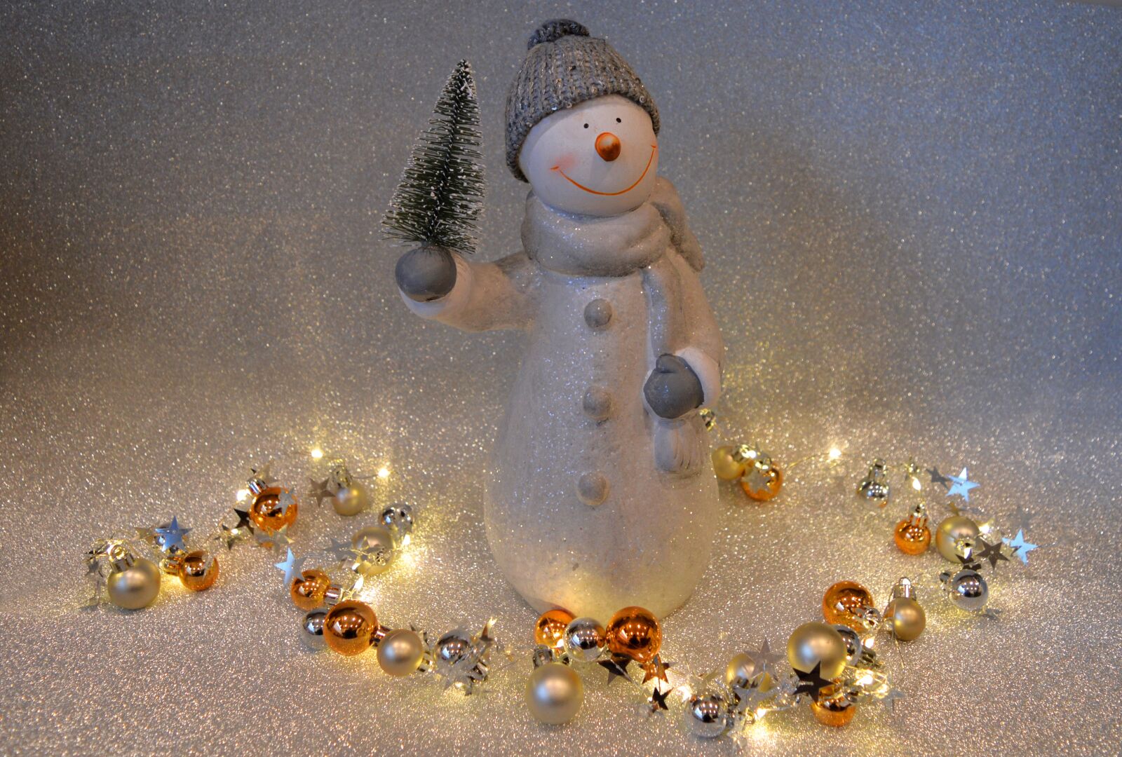Nikon D3200 sample photo. Christmas motif, snowman, lichterkette photography