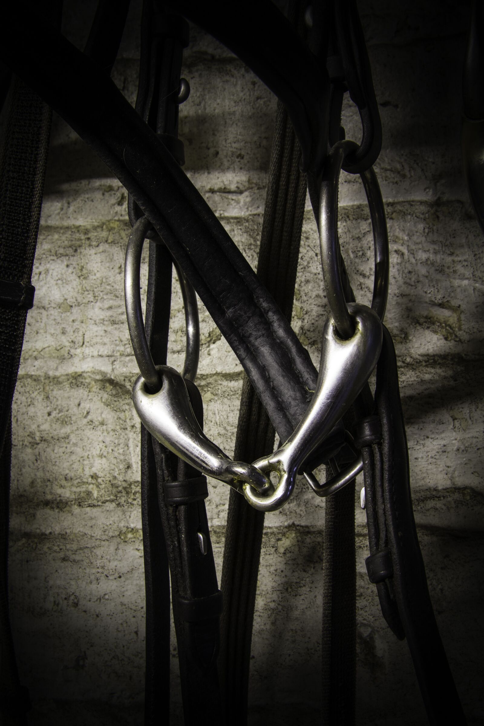 Canon EF-S 17-85mm F4-5.6 IS USM sample photo. Bridle, horse, bit photography