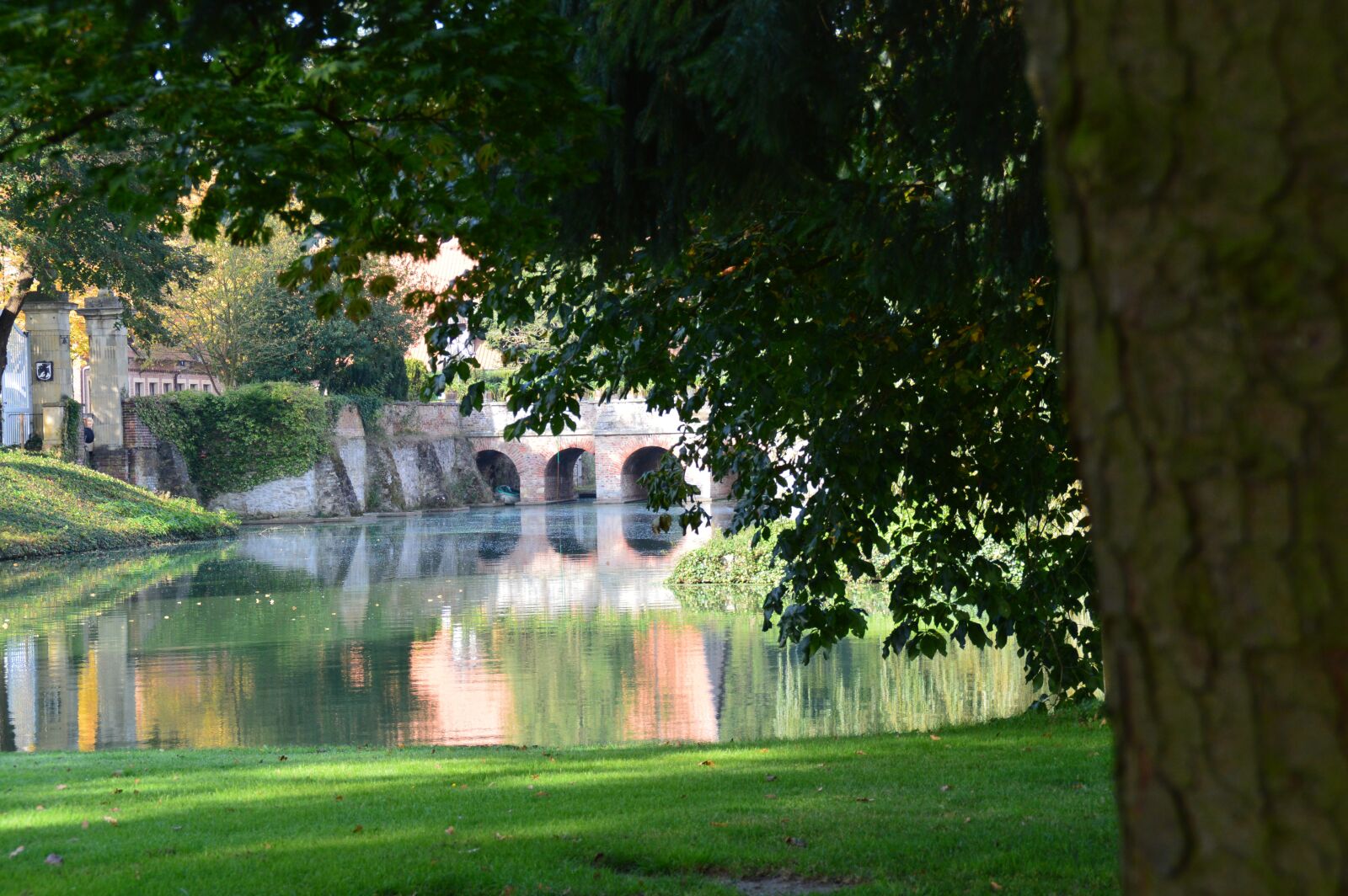 Nikon D3200 sample photo. Trees, water, pond photography