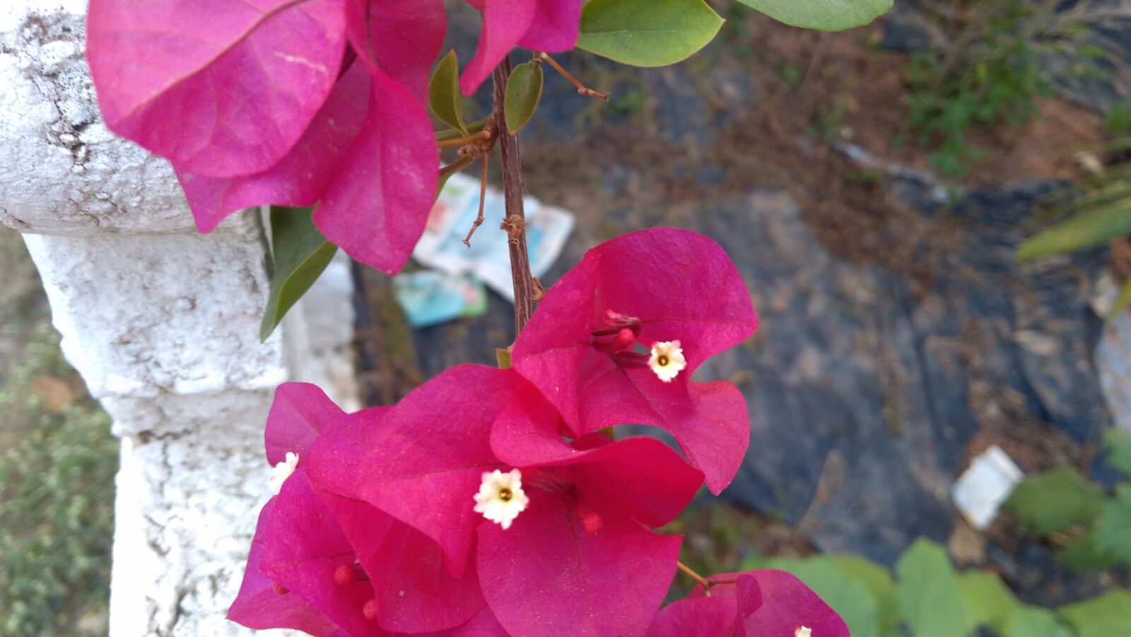 Lenovo K6 NOTE sample photo