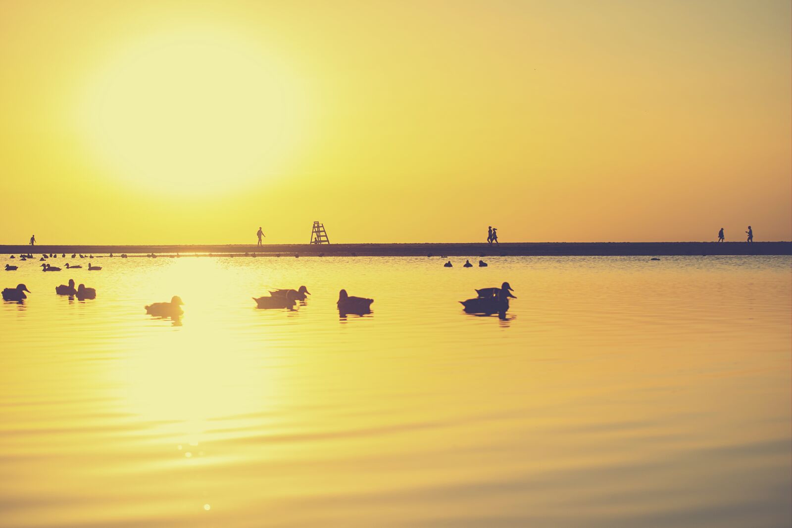 Nikon D3300 sample photo. Landscape, dawn, ducks photography