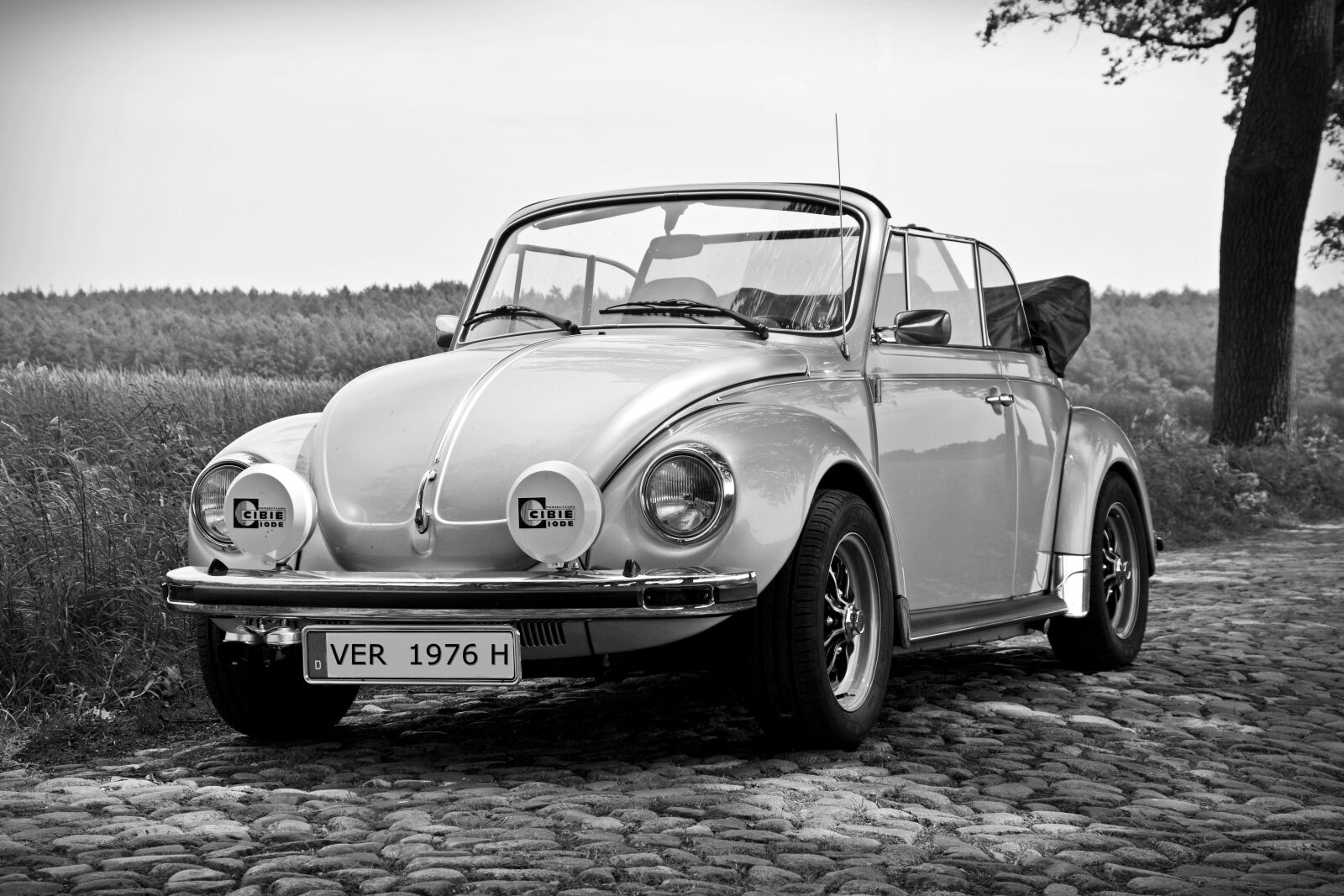 Nikon D5200 sample photo. Oldtimer, vw, vw beetle photography