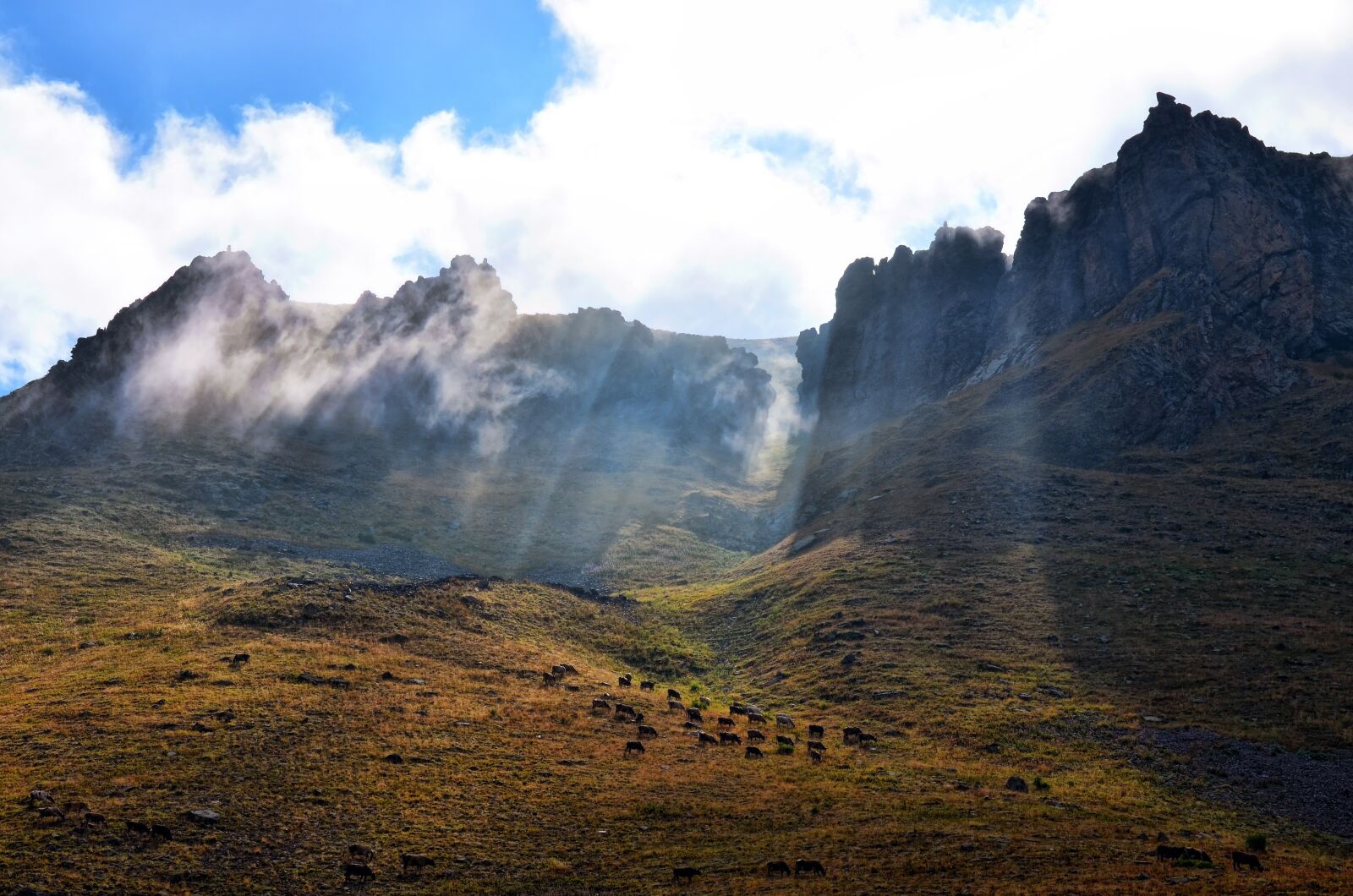 Nikon D5100 sample photo. Eastern black sea, landscape photography