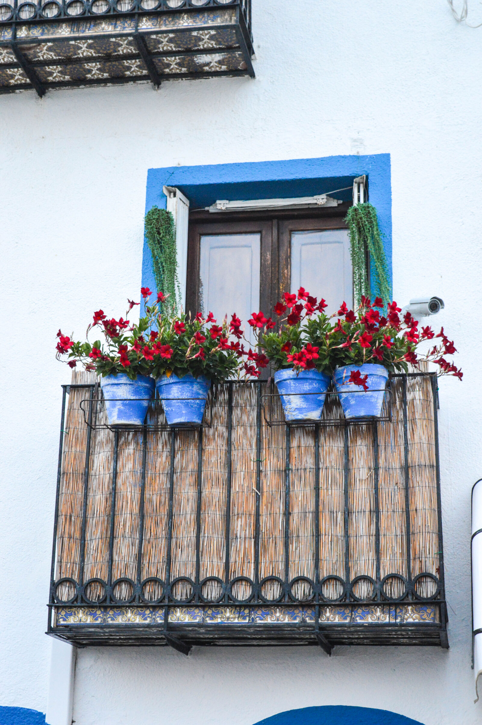 Nikon D3200 sample photo