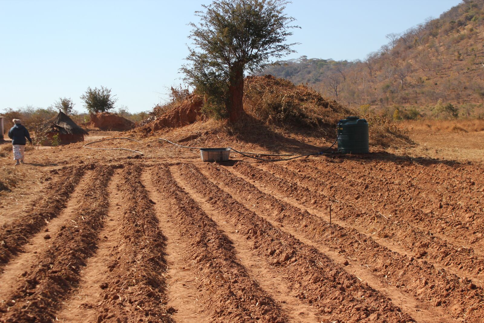 Canon EOS 550D (EOS Rebel T2i / EOS Kiss X4) sample photo. Smart, villages, zambia photography