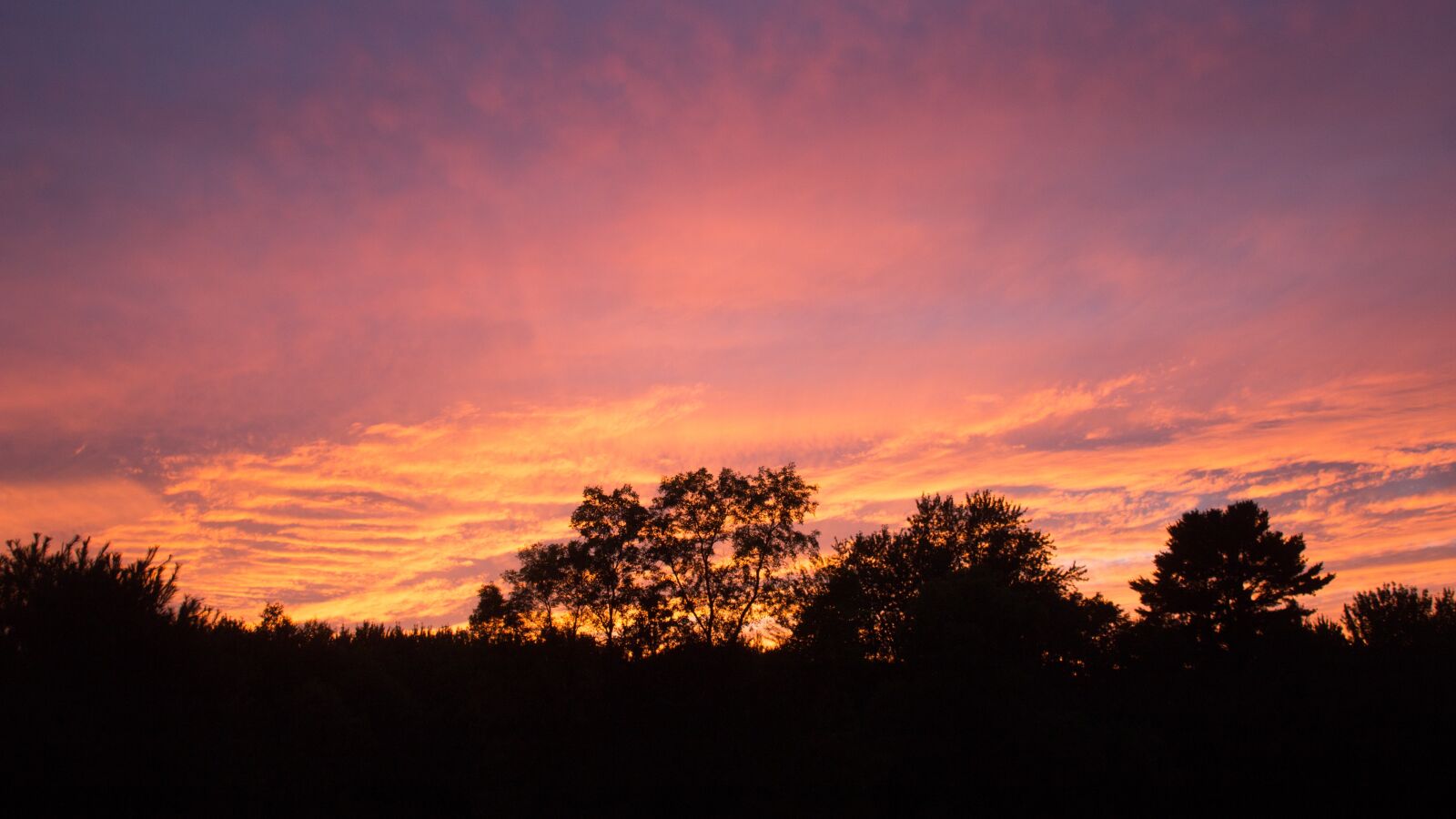 Canon EOS 1200D (EOS Rebel T5 / EOS Kiss X70 / EOS Hi) sample photo. Sunset, pink, yellow photography