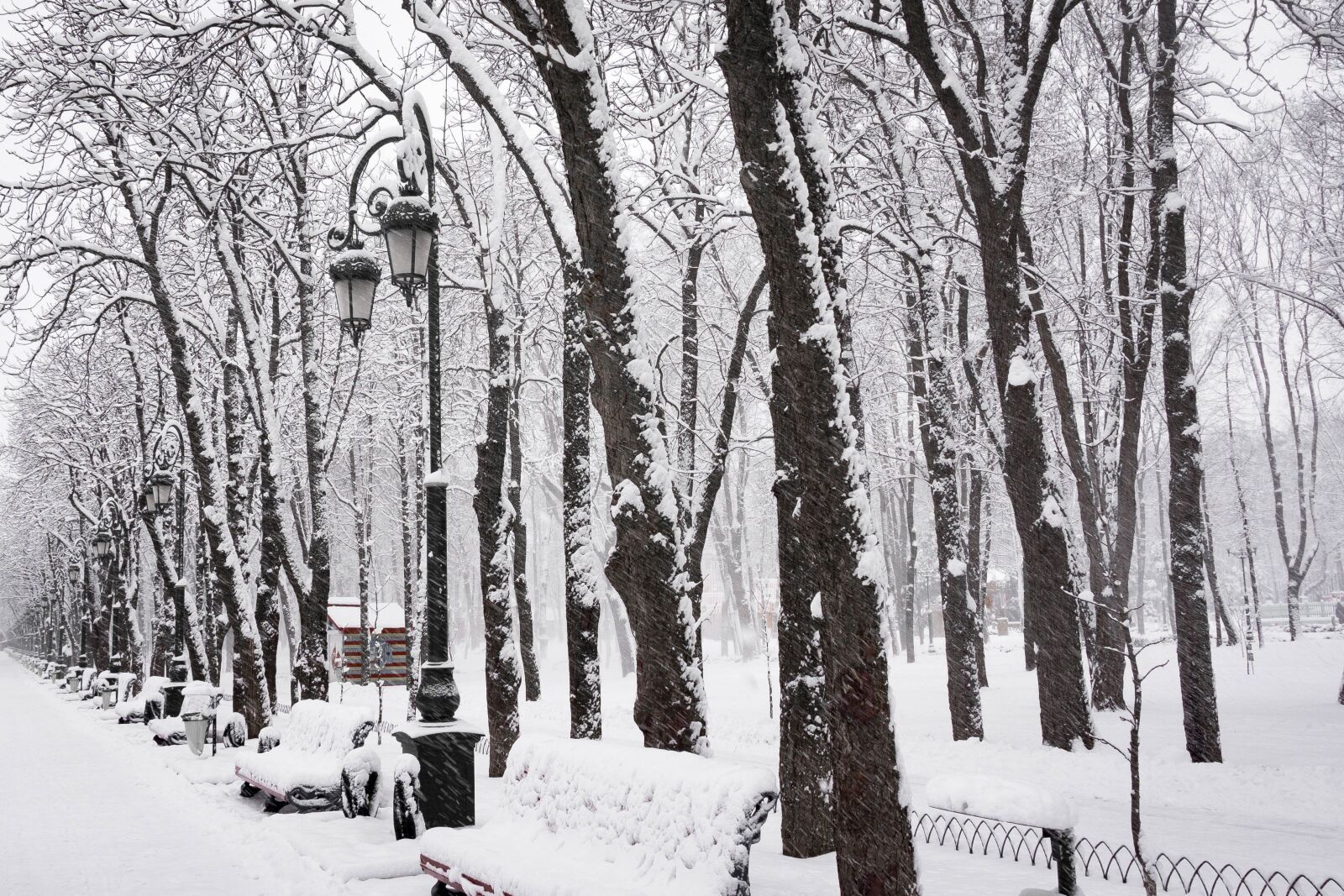 Sony E 16-50mm F3.5-5.6 PZ OSS sample photo. Snow, winter, coldly photography