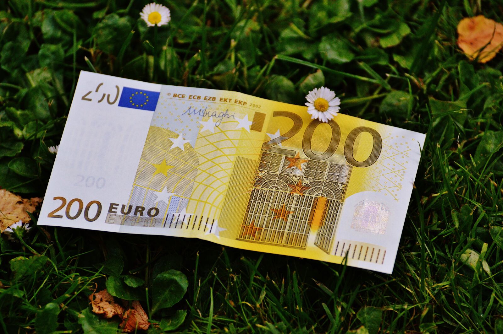 Nikon D3200 sample photo. Money, seem, euro bills photography