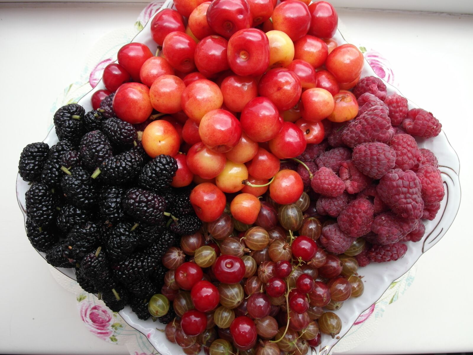 Samsung EX1 sample photo. Fruit, raspberries, mulberry photography