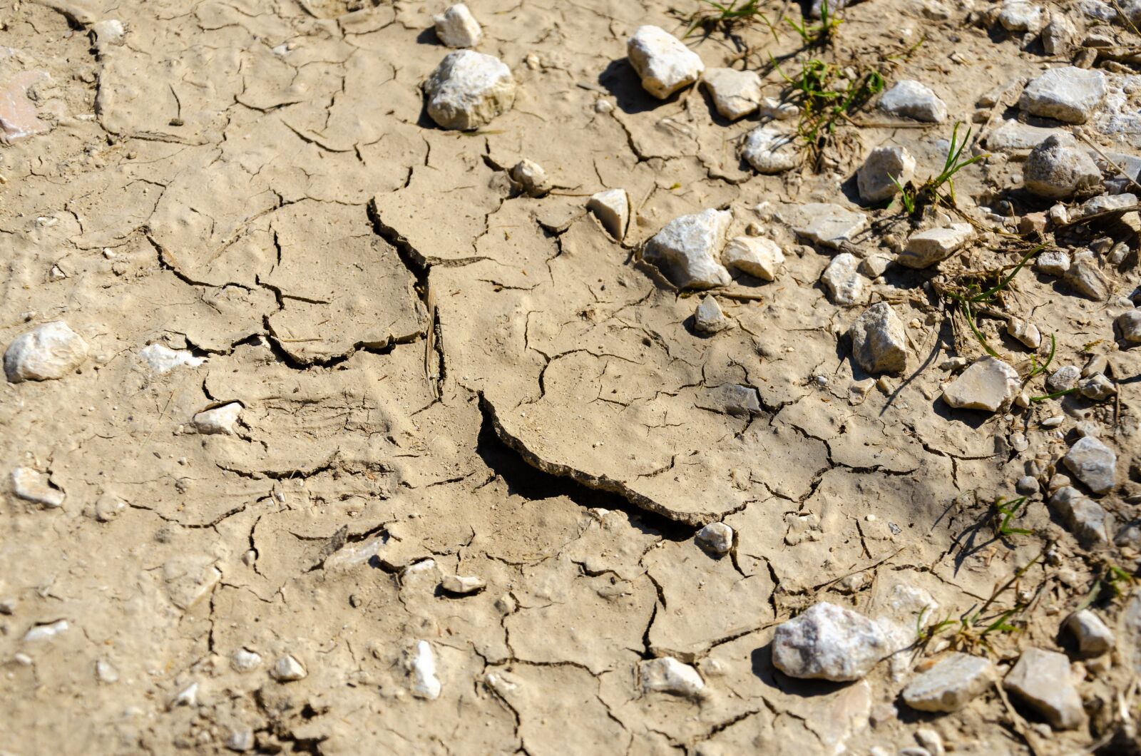 Nikon D5100 sample photo. Dry, drought, earth photography