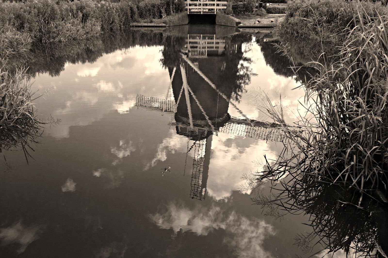 Sony Cyber-shot DSC-RX100 sample photo. Windmill, dutch, holland photography