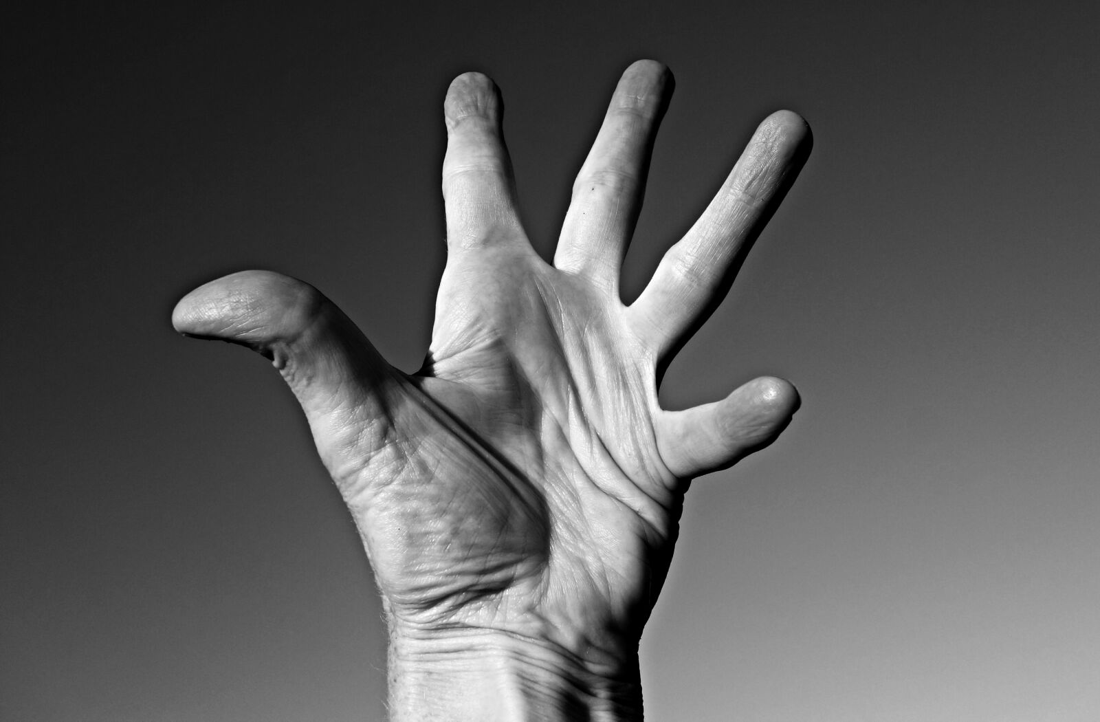 Sony Cyber-shot DSC-RX100 sample photo. Fingers, folds, hand, joints photography