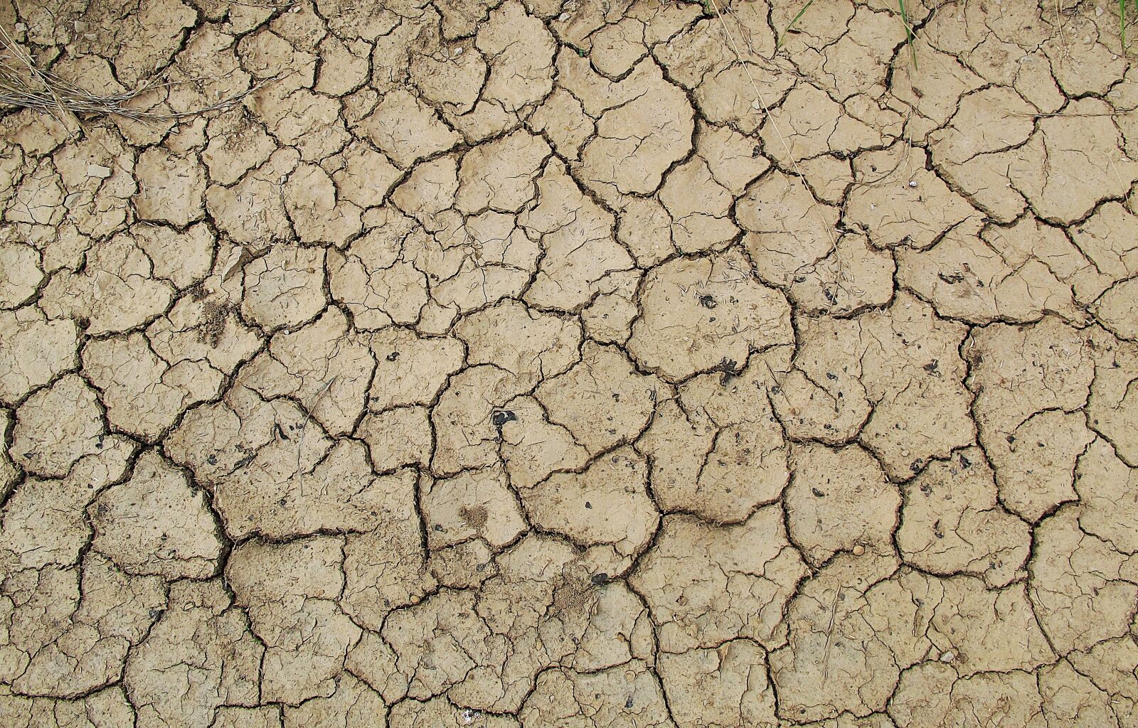 Canon PowerShot G12 sample photo. Ground, earth, dehydrated photography
