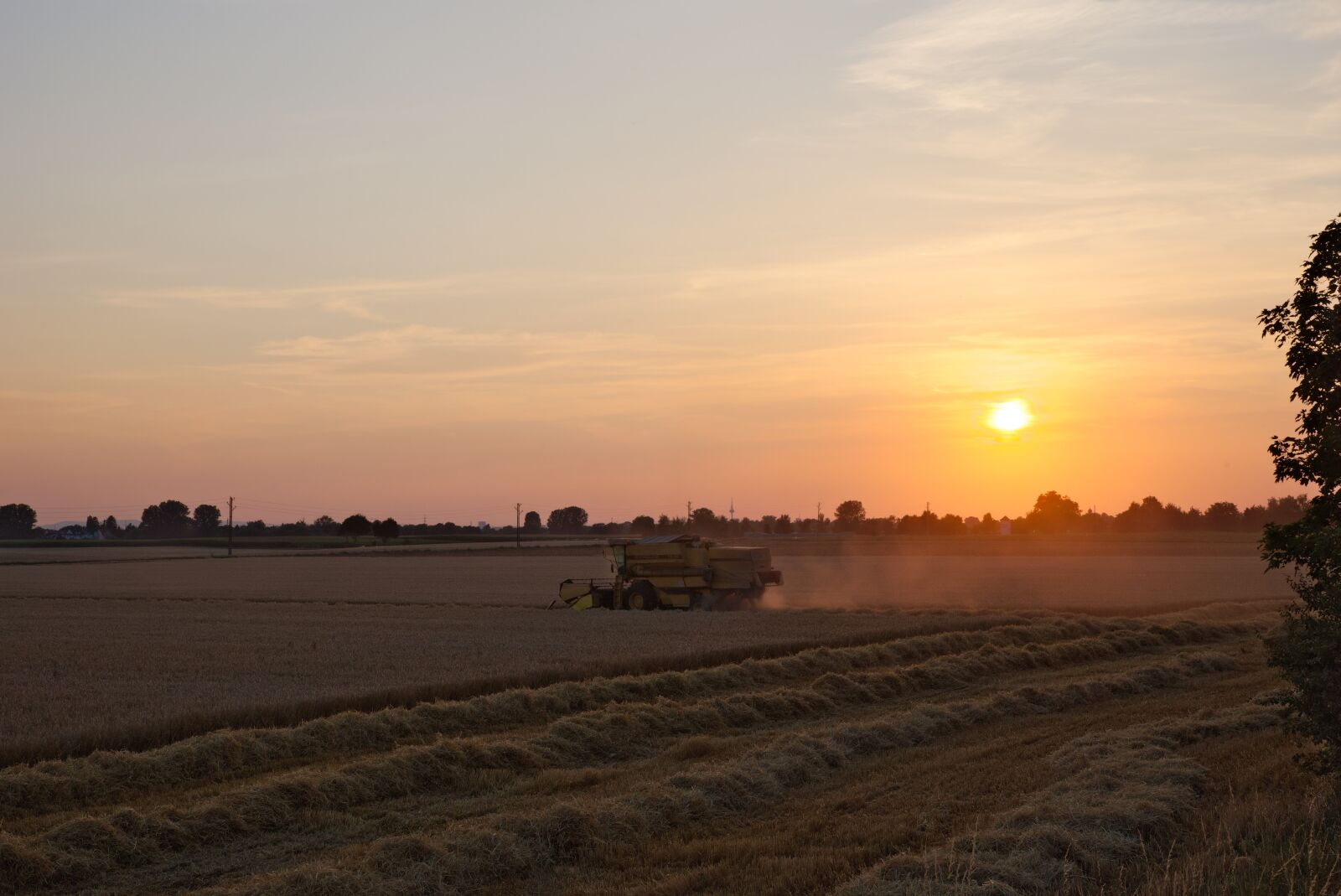 Nikon D750 sample photo. Combine harvester, evening, sunset photography