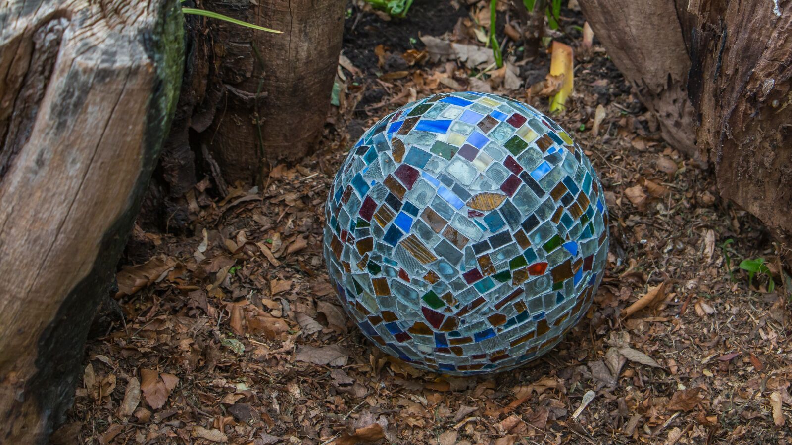 Canon EOS 70D sample photo. World, stone, leaf litter photography