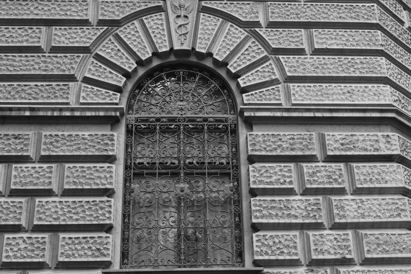 Nikon D5500 sample photo. Black and white, window photography