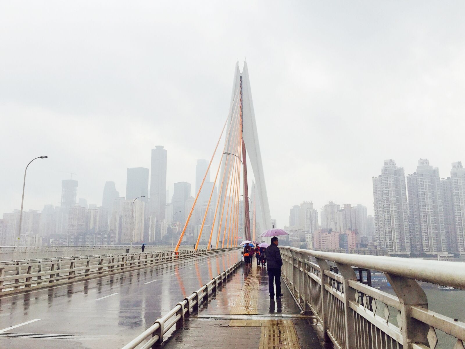 iPhone 6 Plus back camera 4.15mm f/2.2 sample photo. China, chongqing, bridge photography