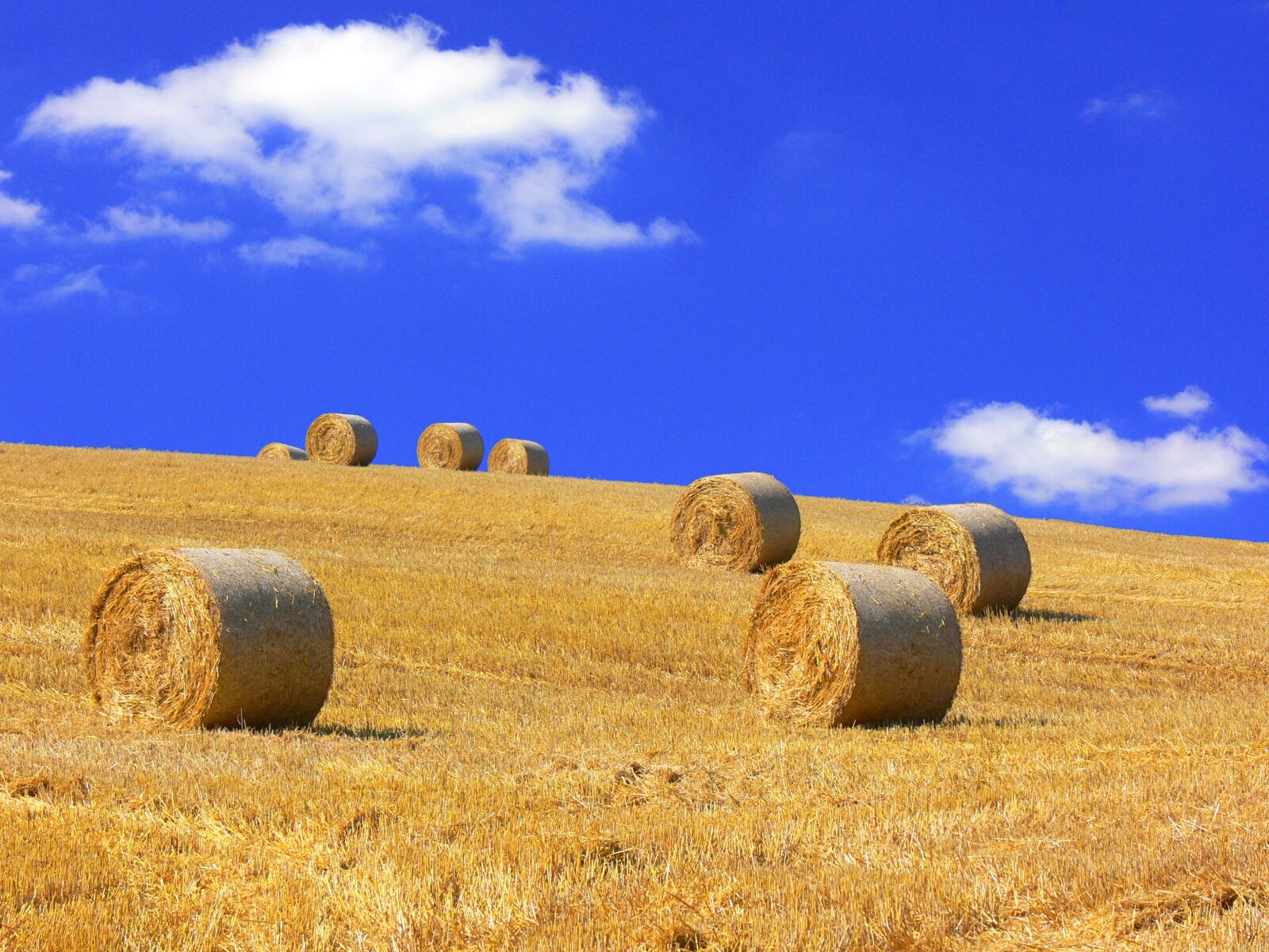 Panasonic DMC-FZ30 sample photo. Straw bales, straw, harvested photography