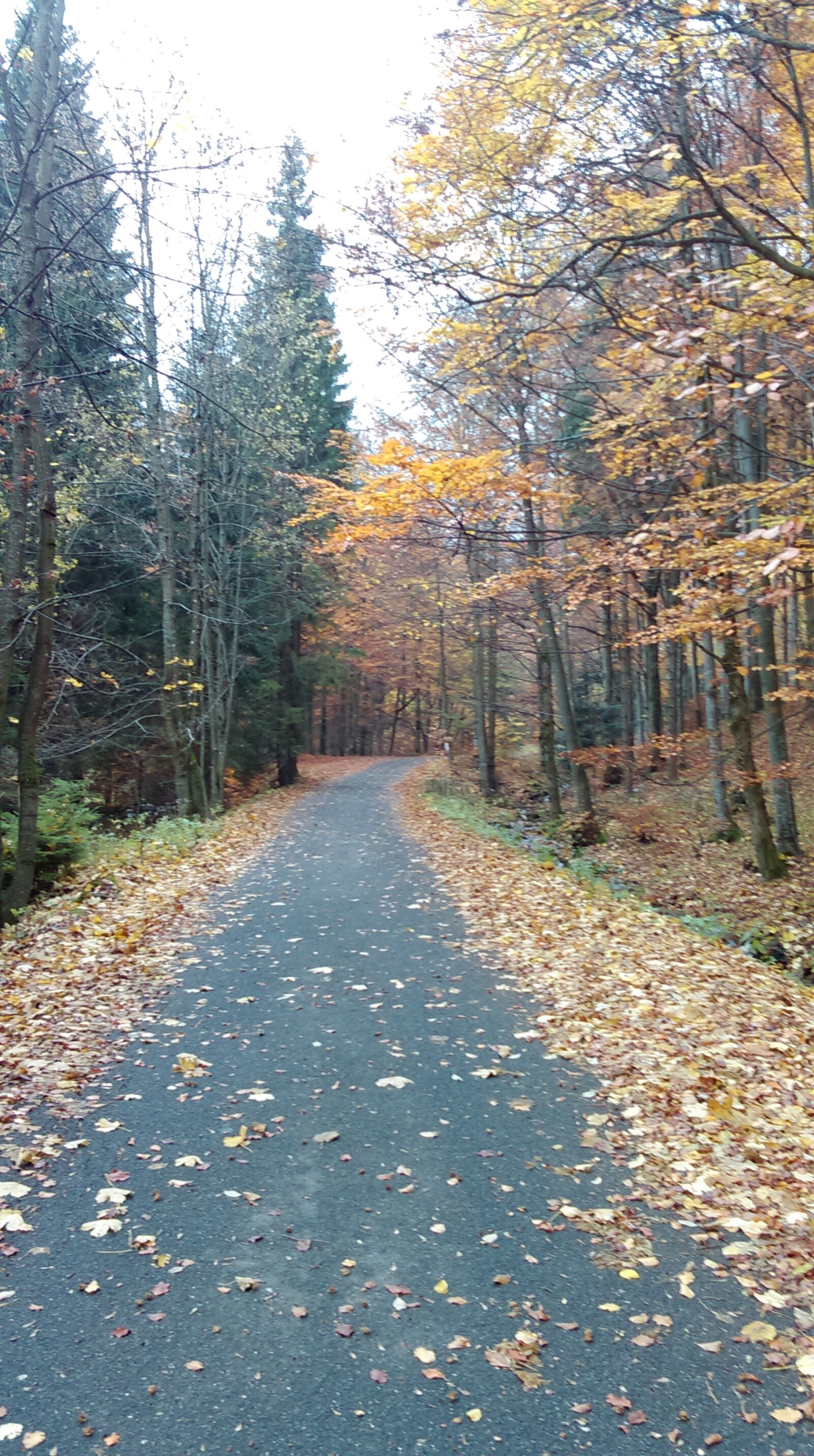 HTC DESIRE 610 sample photo. Autumn, way, mountains photography