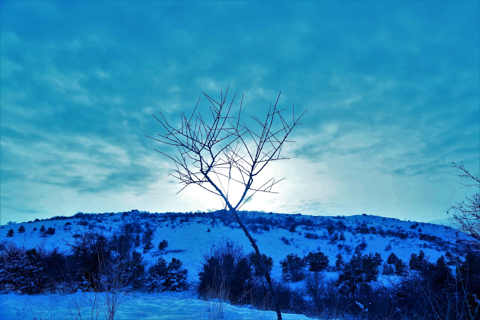 Canon EF 24-105mm F4L IS USM sample photo. Snow, winter, cold photography