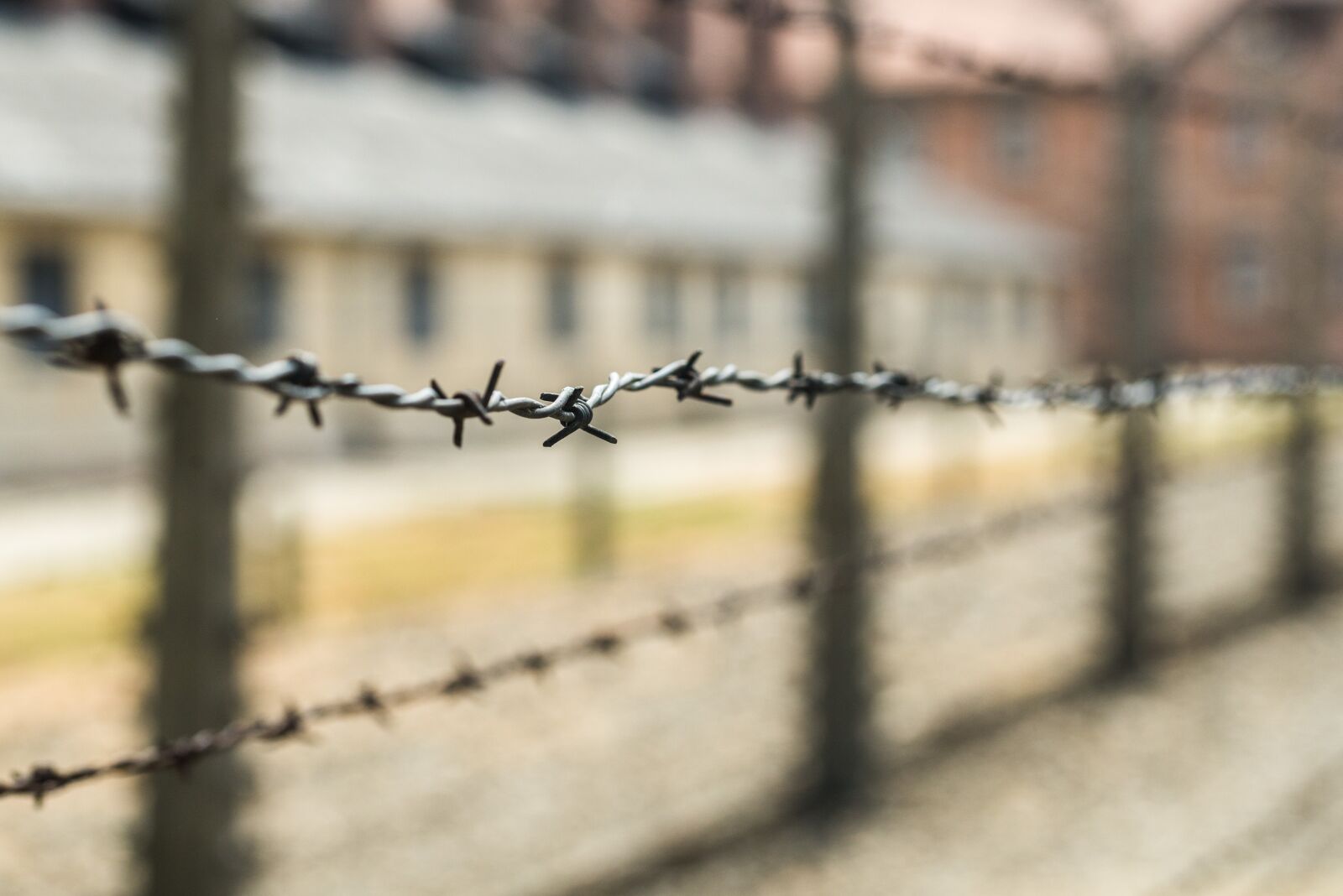 Nikon D610 sample photo. Auschwitz, concentration camp, birkenau photography