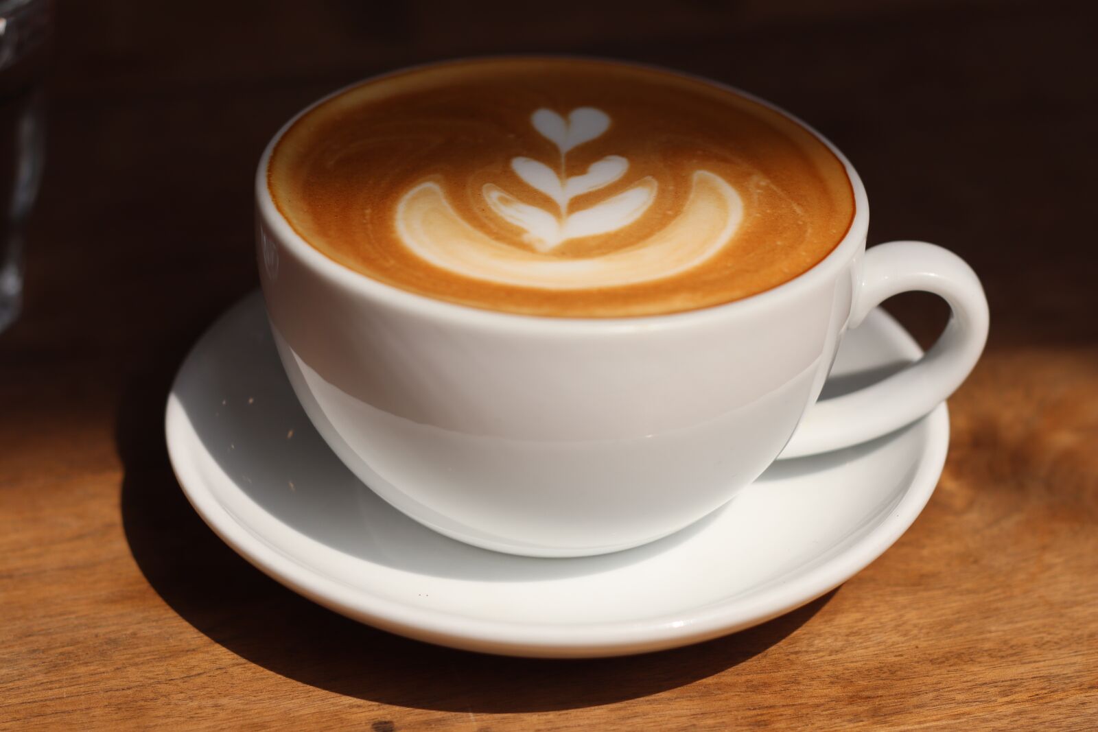 Canon EOS M50 (EOS Kiss M) + Canon EF 50mm F1.8 II sample photo. Coffee, morning, cup photography