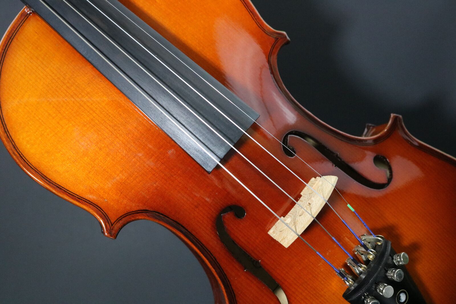 Canon EOS 750D (EOS Rebel T6i / EOS Kiss X8i) sample photo. Violin, stringed, musician photography