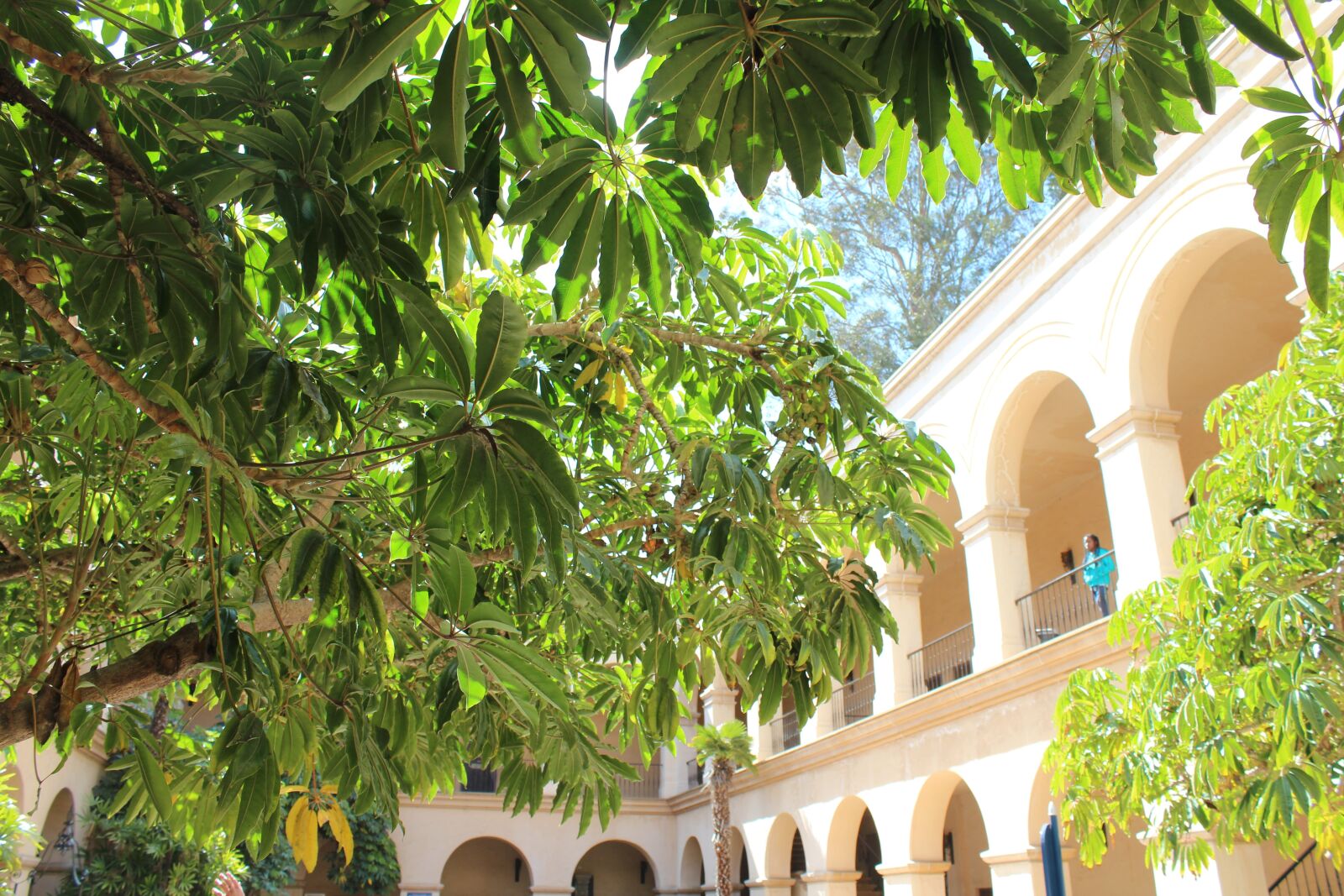 Canon EOS 600D (Rebel EOS T3i / EOS Kiss X5) sample photo. Balboa park, california, architecture photography