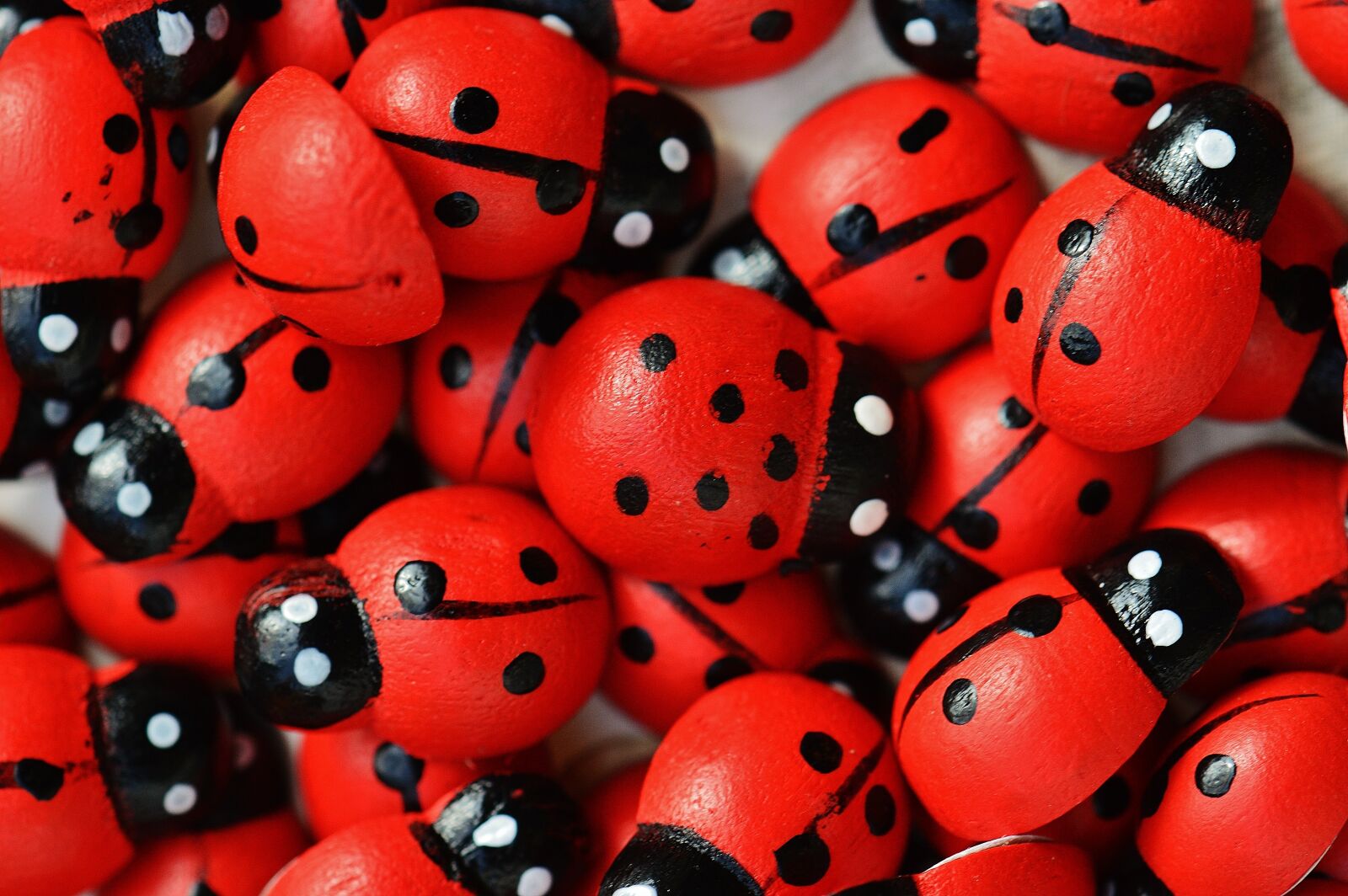 Nikon D3200 sample photo. Ladybug, wood, cute photography
