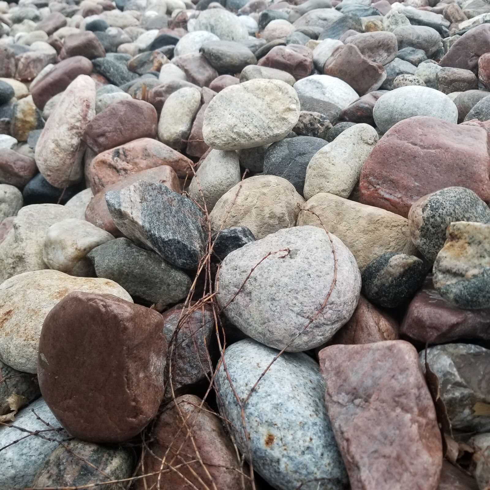 Samsung Galaxy S8 sample photo. Pebbles, grey, stones photography