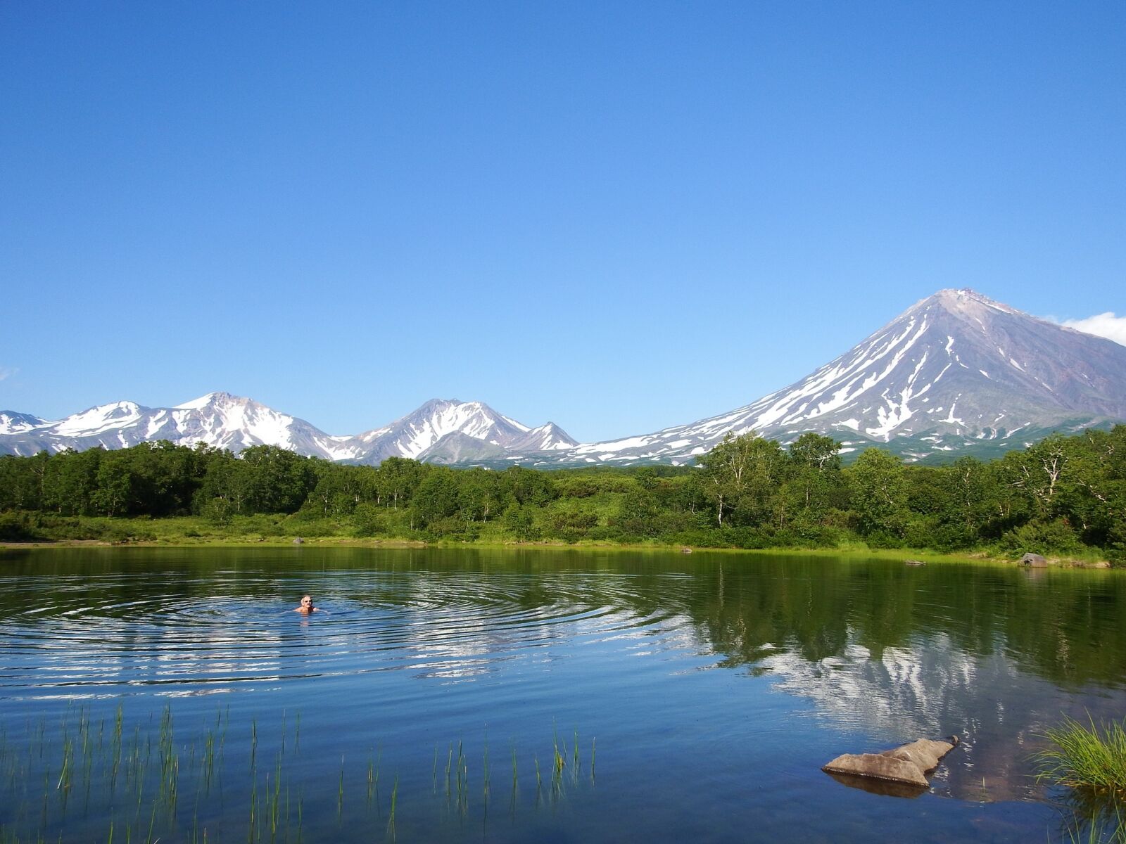 Fujifilm FinePix S1 sample photo. Forest lake, forest, mountains photography