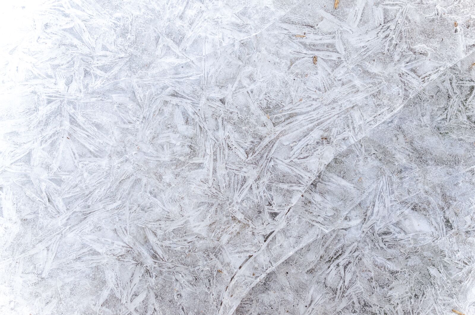Nikon D5100 sample photo. Pattern, winter, cold photography
