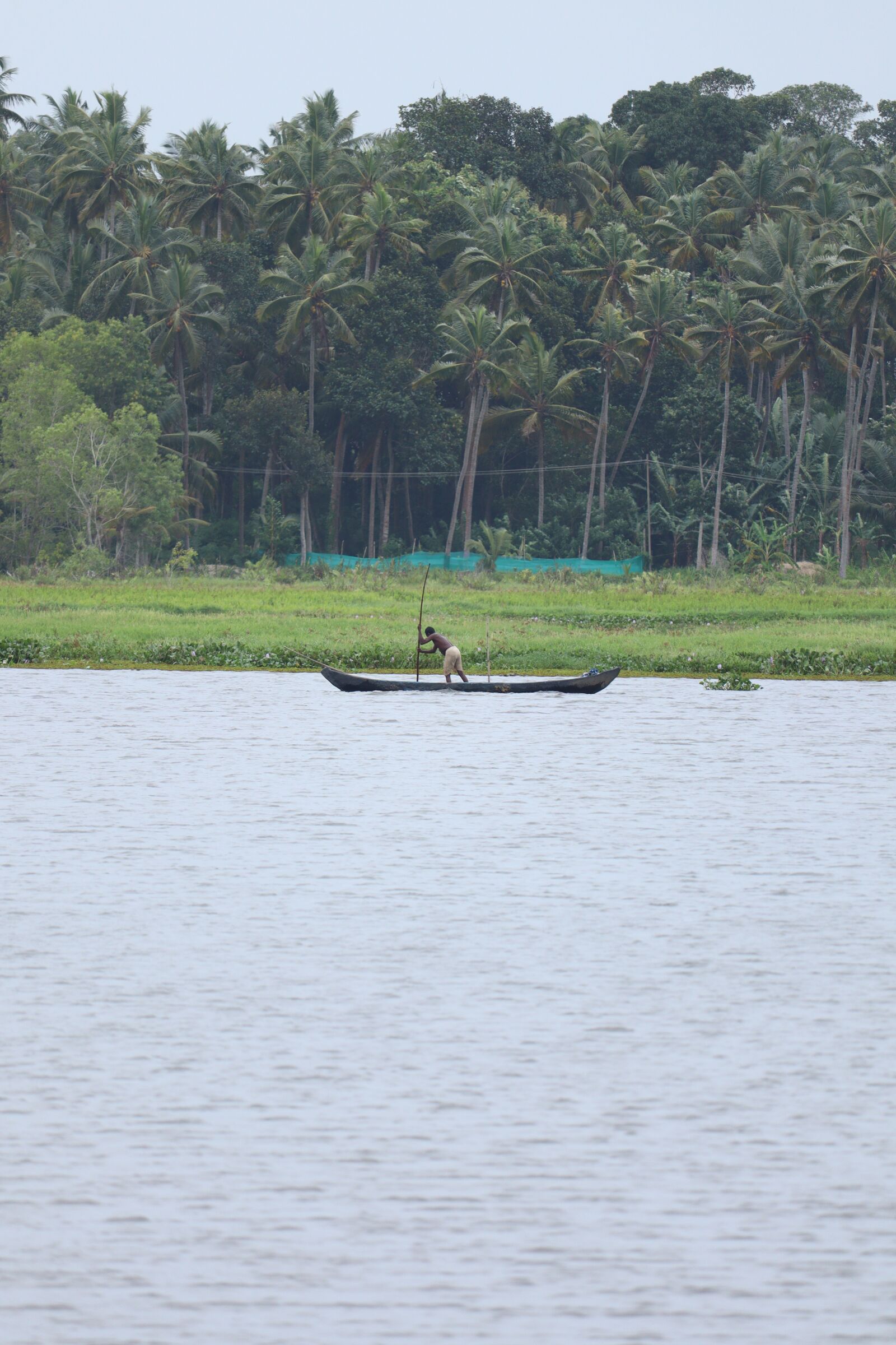 Canon EOS 250D (EOS Rebel SL3 / EOS Kiss X10 / EOS 200D II) sample photo. Kerala, nature, landscape photography