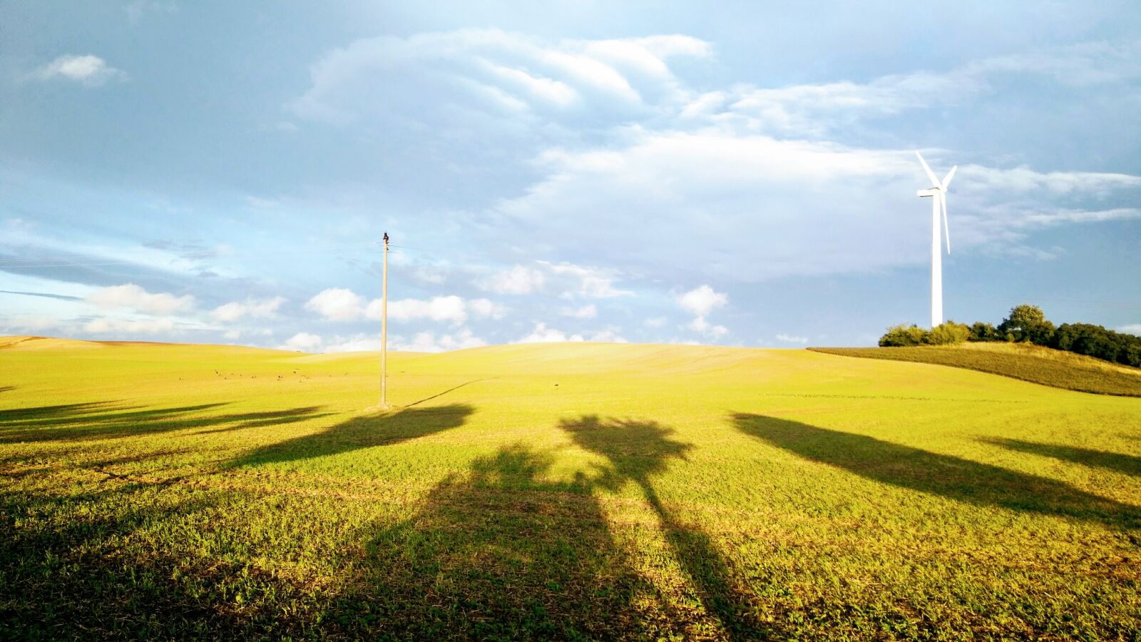 Xiaomi Redmi 4 Pro sample photo. Nature, field, agriculture photography