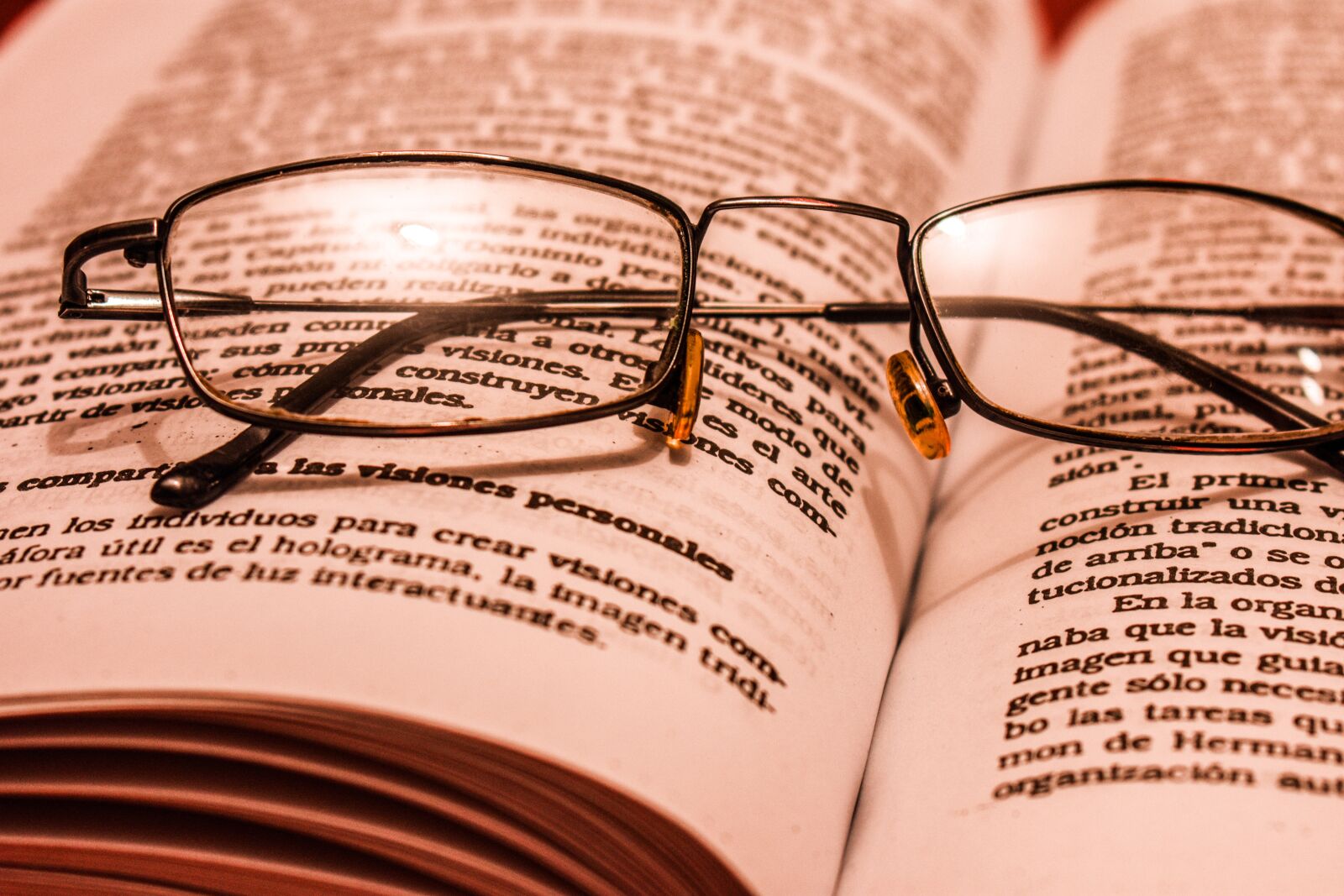 Nikon D3400 sample photo. Lenses, book, reading photography