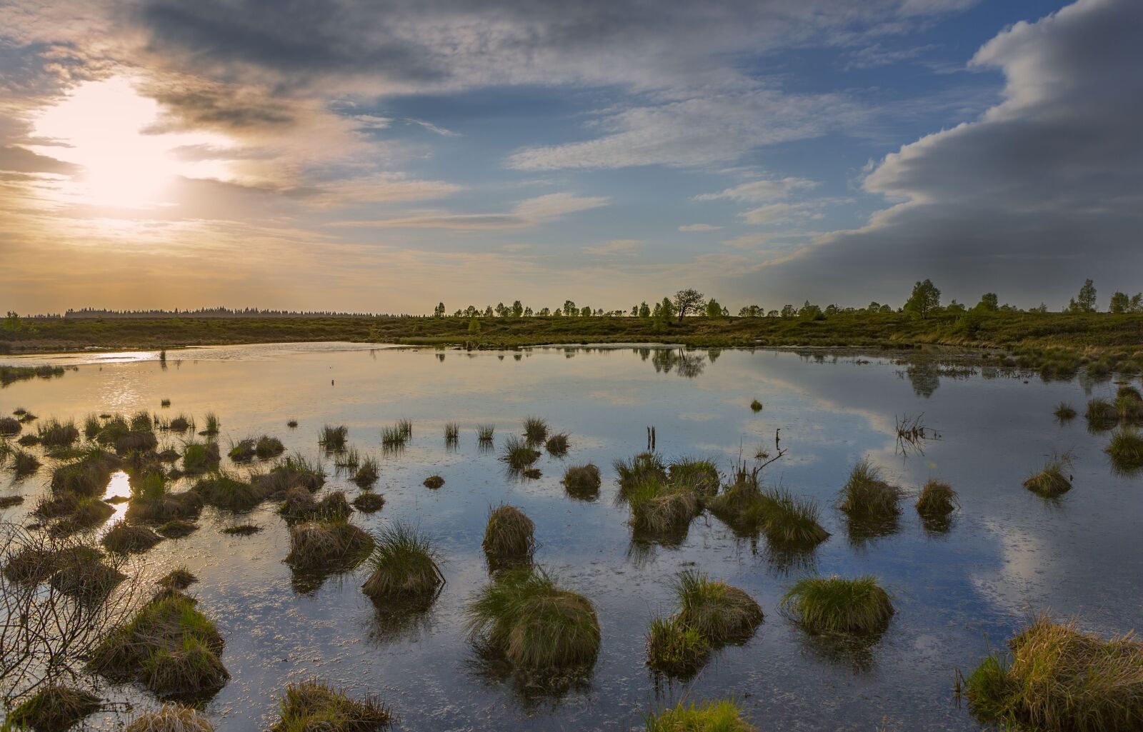 Canon EF 24-70mm F2.8L USM sample photo. Ardennes, landscape, moor photography