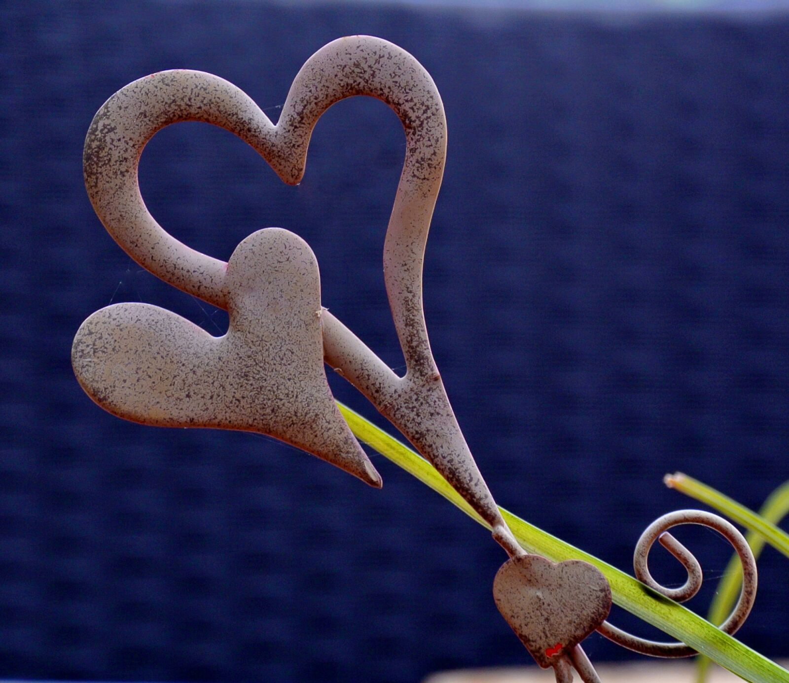 Nikon 1 Nikkor VR 30-110mm F3.8-5.6 sample photo. Heart, decoration, nature photography