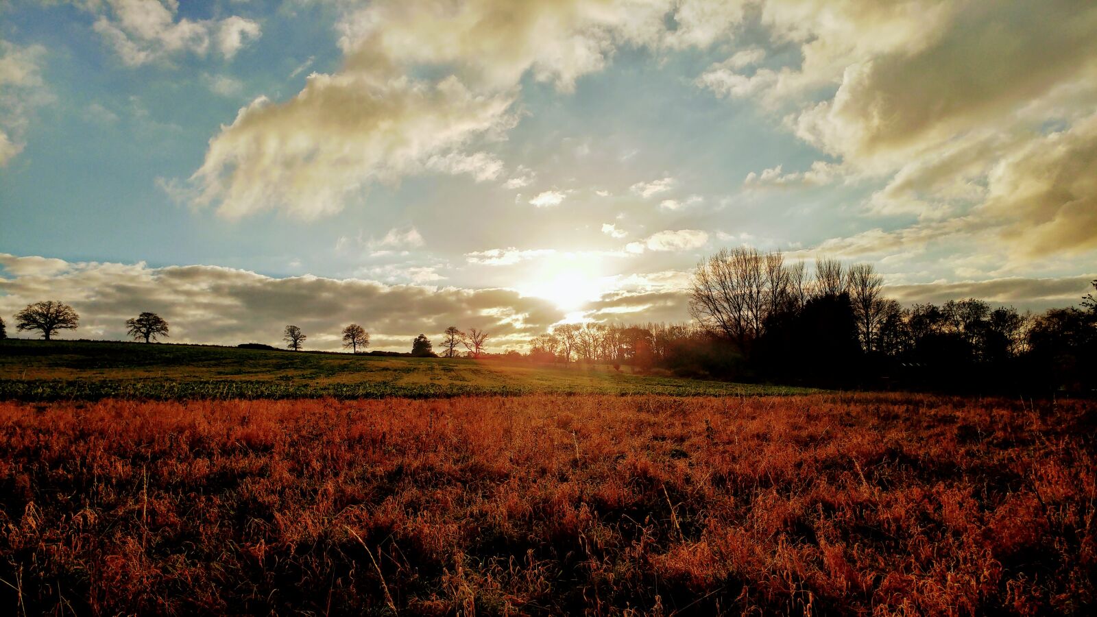 LG G5 sample photo. Agriculture, clouds, countryside, cropland photography