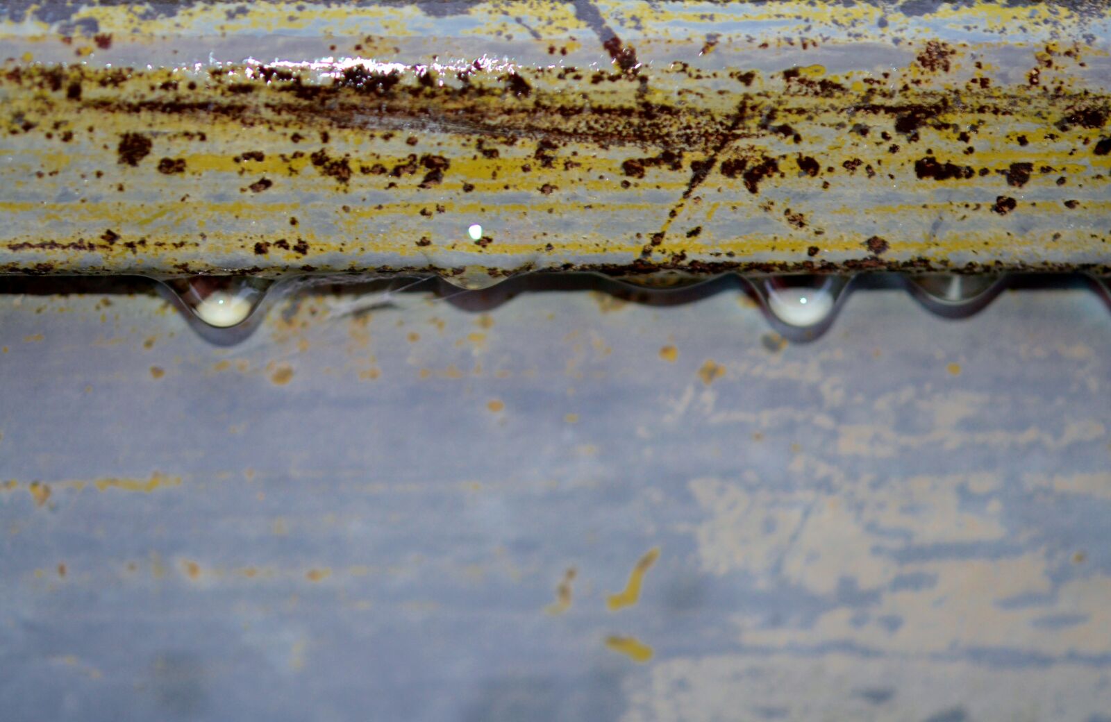 Nikon D7000 sample photo. Rain, water, water drop photography