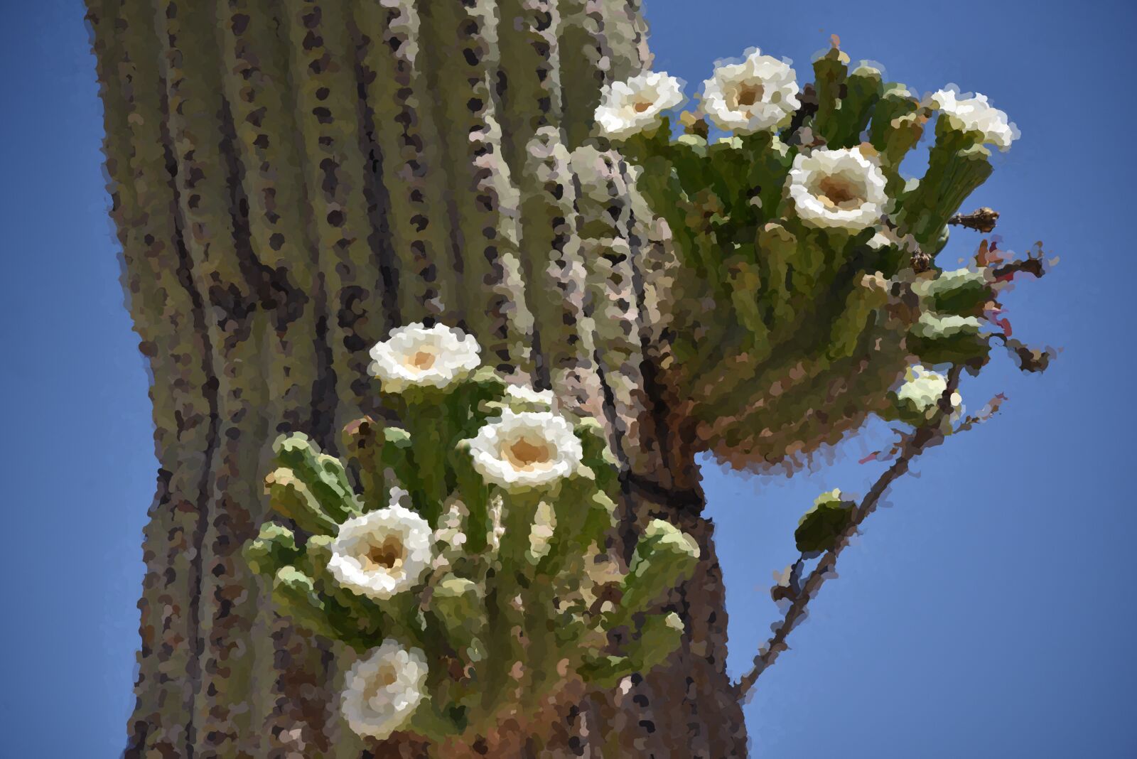 Nikon D750 sample photo. Cactus, impressionist, painting photography