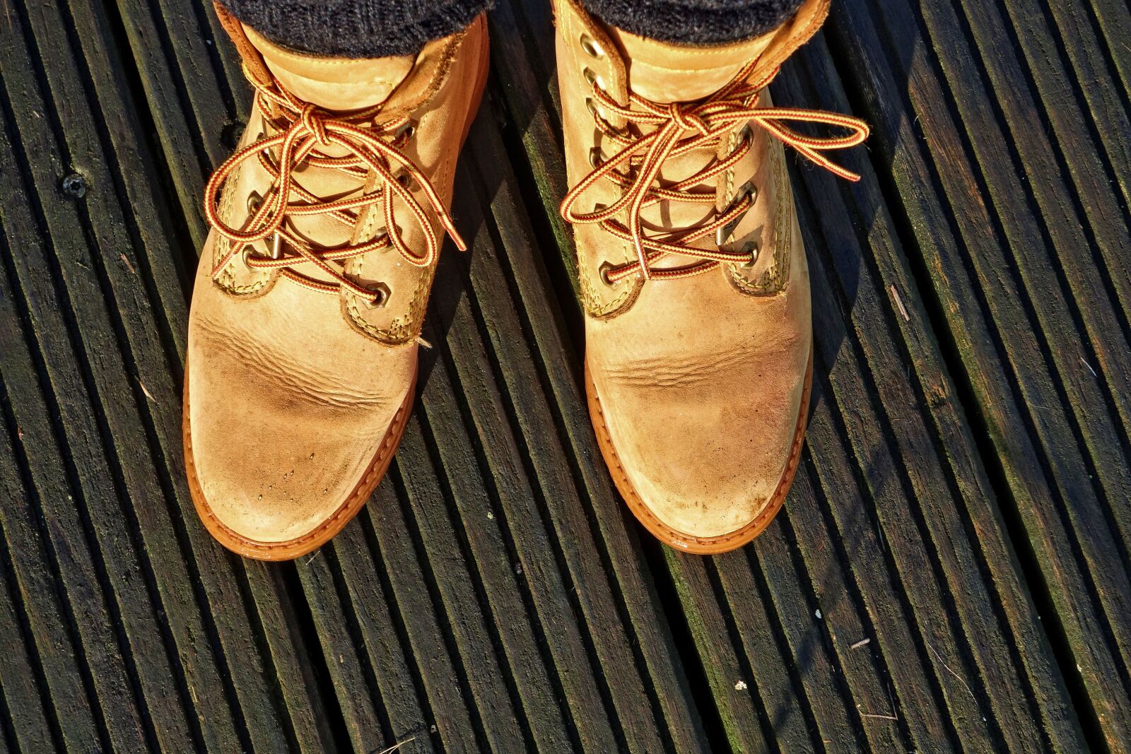 Sony Cyber-shot DSC-RX100 sample photo. Foot, shoe, hiking shoe photography