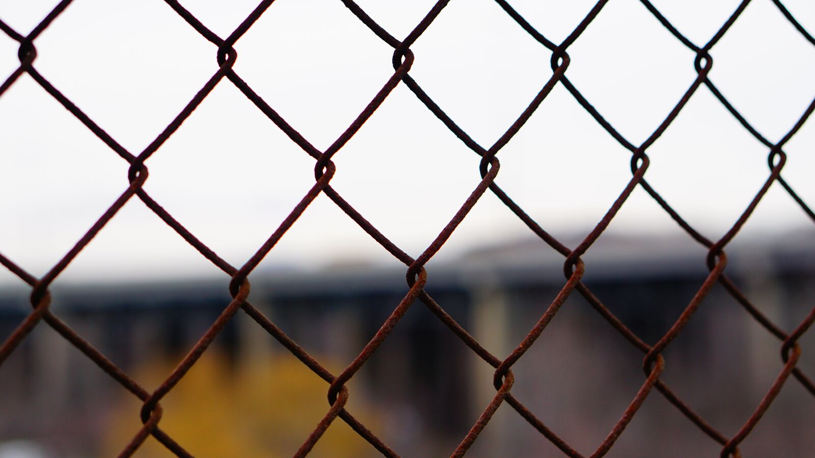 E 50mm F1.8 OSS sample photo. Fence, old, metal photography