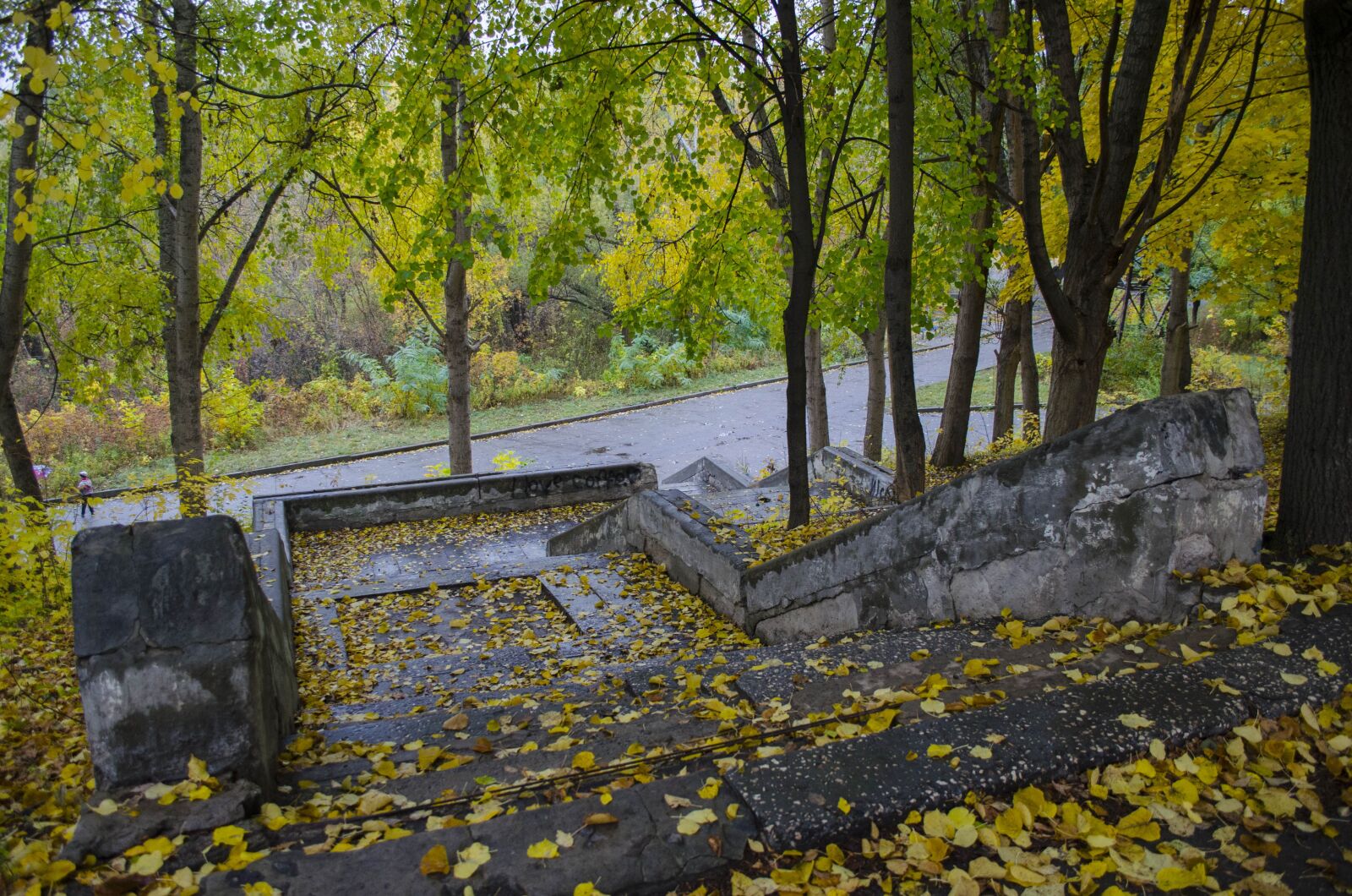 Nikon D5100 sample photo. Ladder, old, the ruins photography