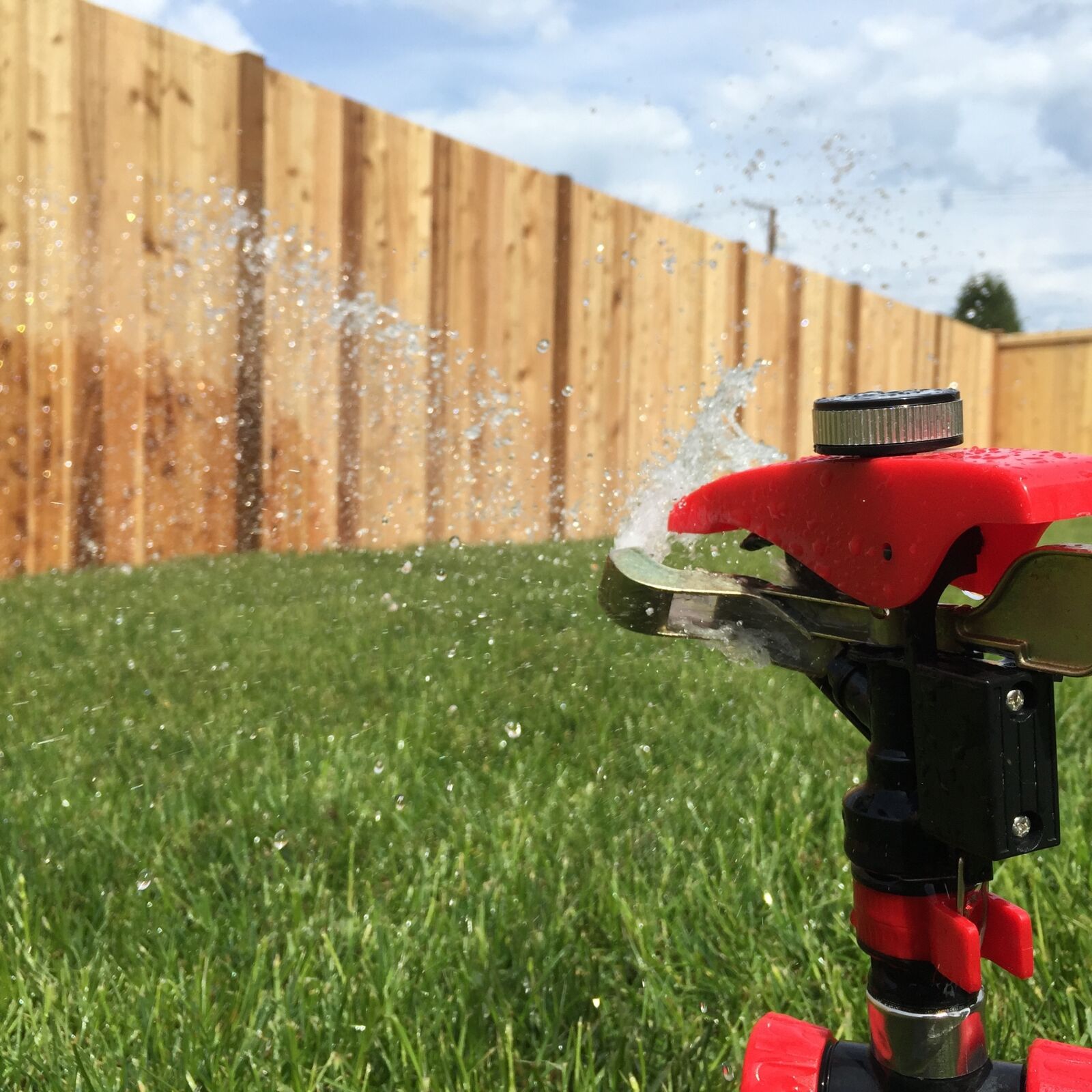 iPhone 6 Plus back camera 4.15mm f/2.2 sample photo. Grass, water, lawn photography