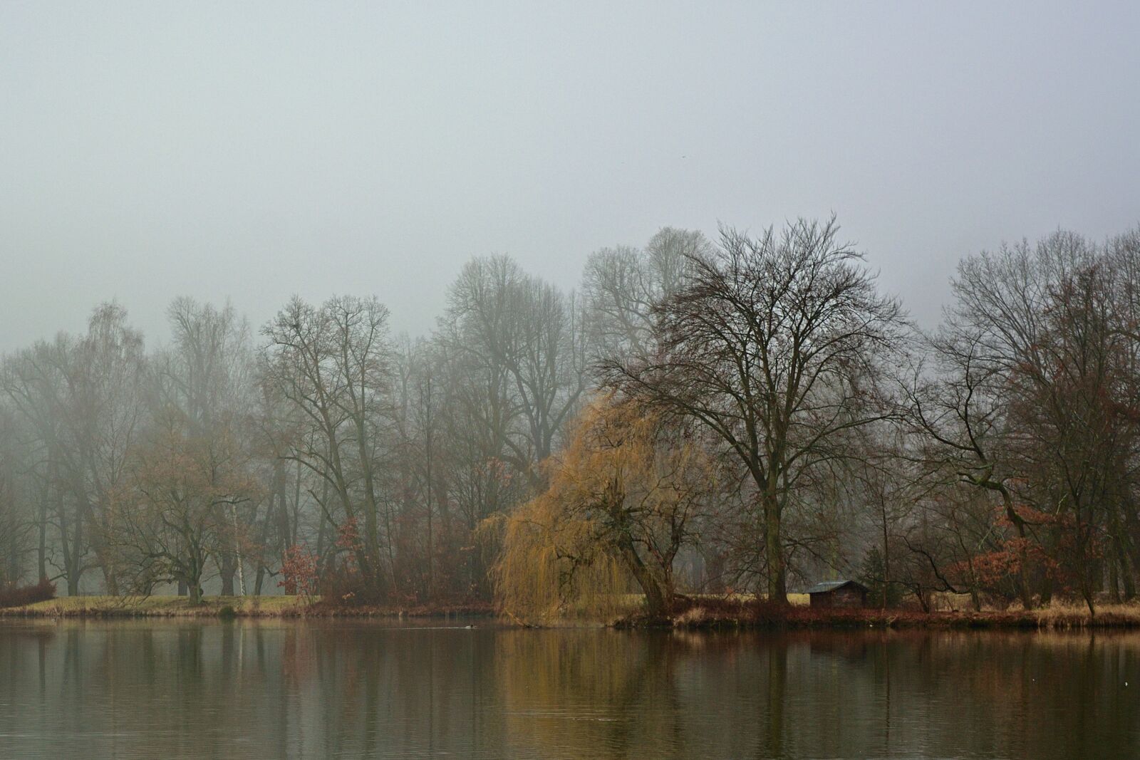 Nikon D5200 sample photo. Morning, fog, lake photography